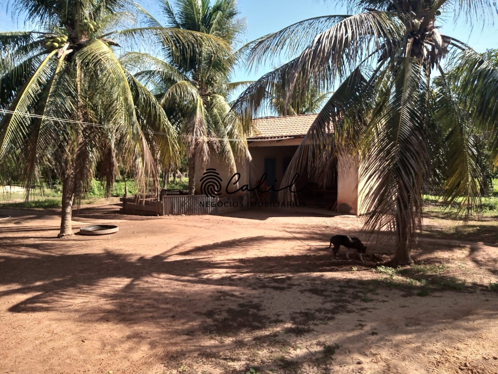 Fazenda à venda com 1 quarto, 3115800m² - Foto 21