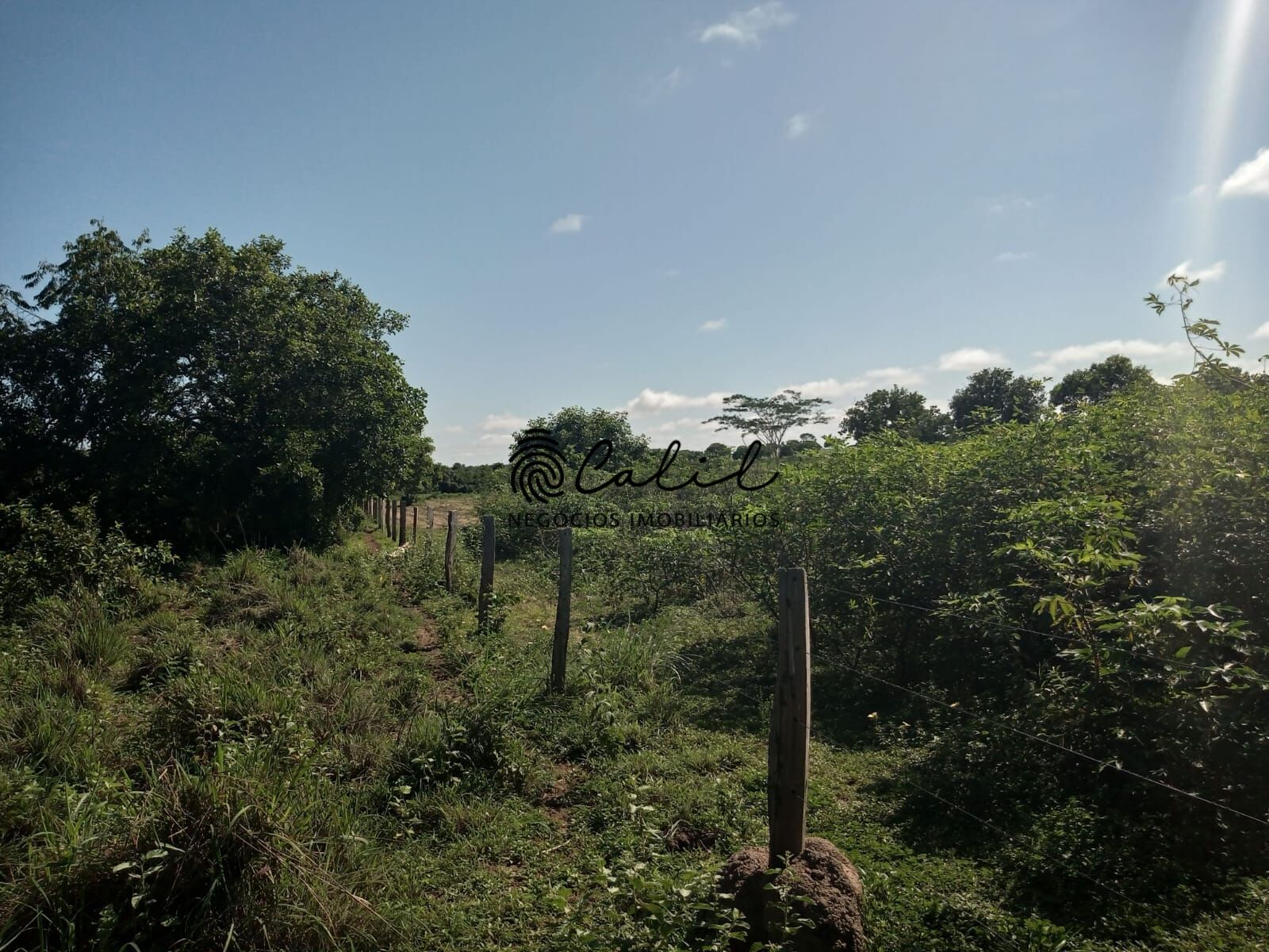 Fazenda à venda com 1 quarto, 3115800m² - Foto 17