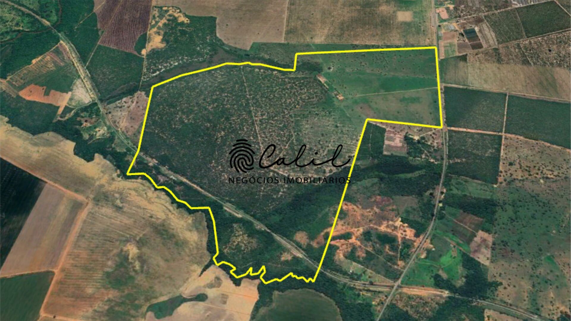 Fazenda à venda com 1 quarto, 3115800m² - Foto 24