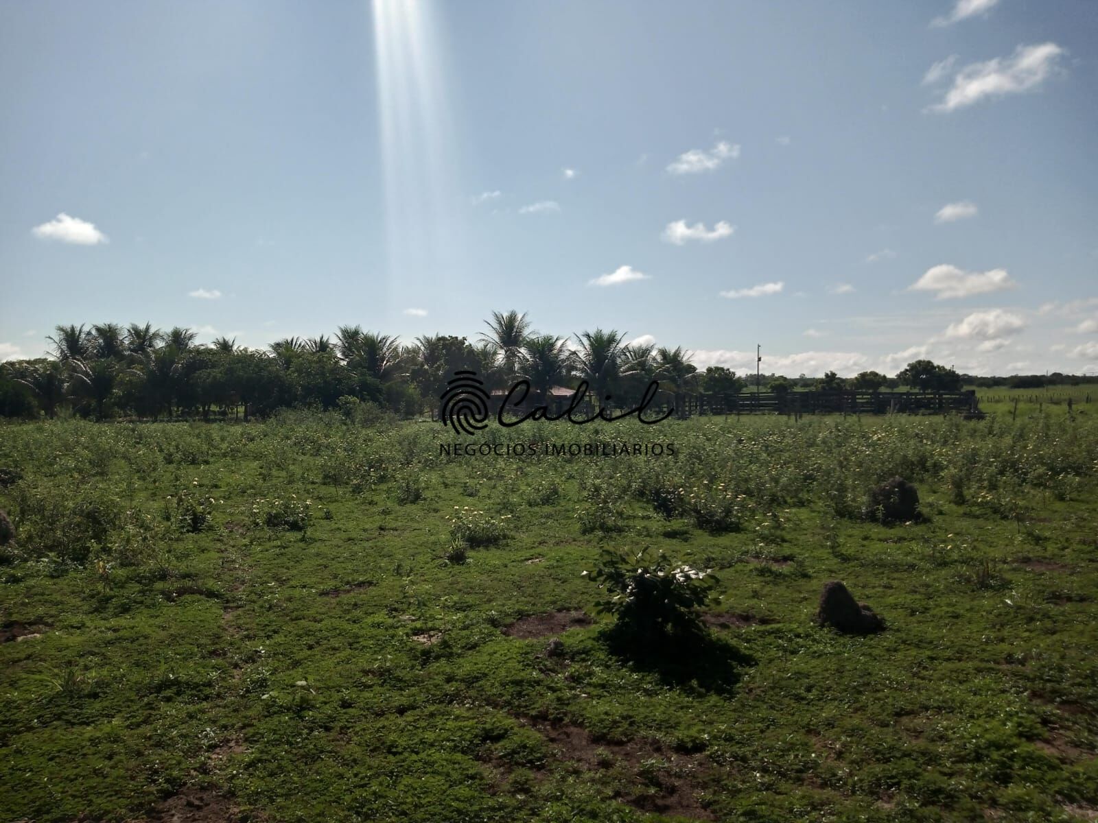 Fazenda à venda com 1 quarto, 3115800m² - Foto 7