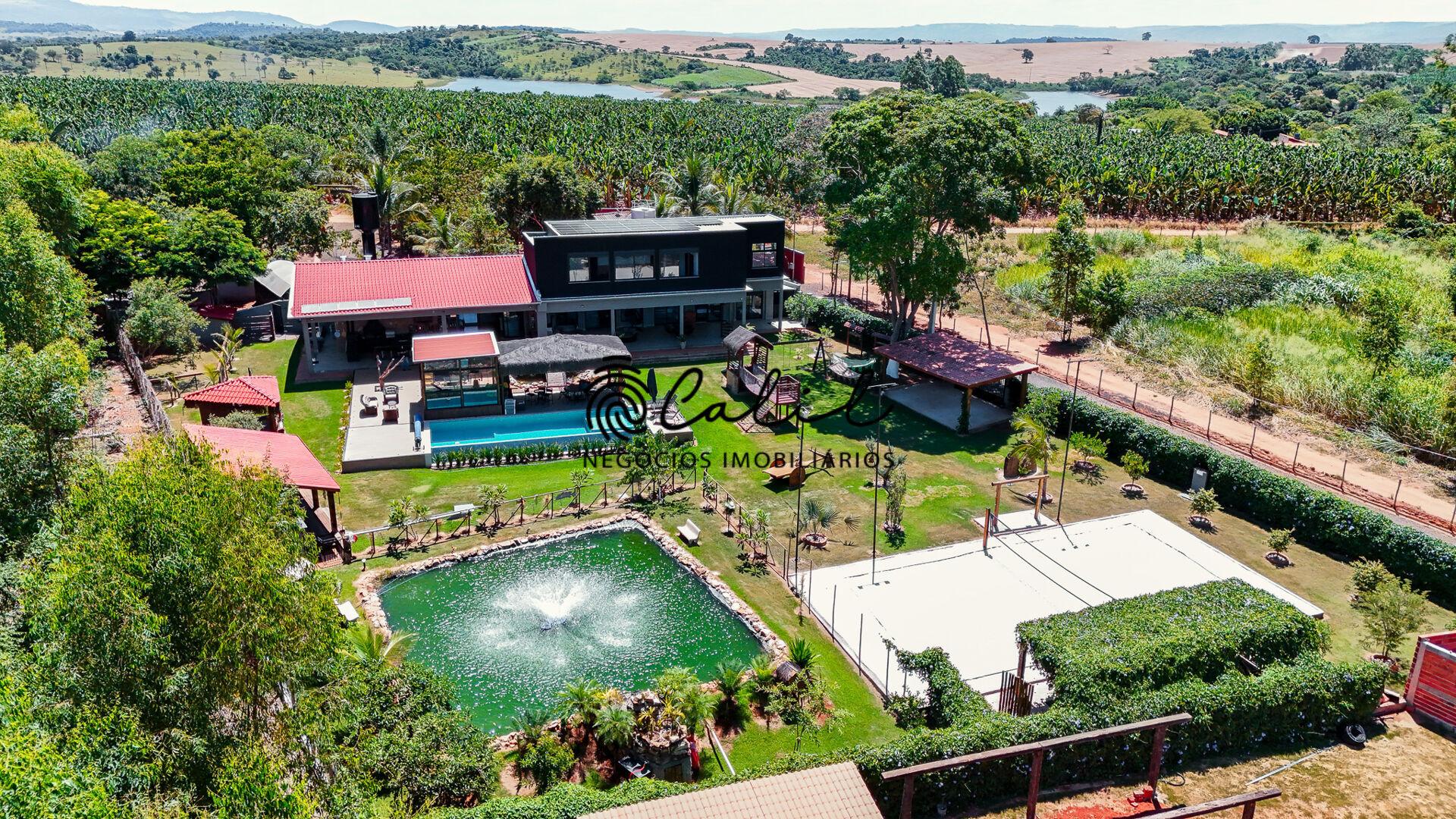 Chácara à venda com 5 quartos, 4000m² - Foto 9