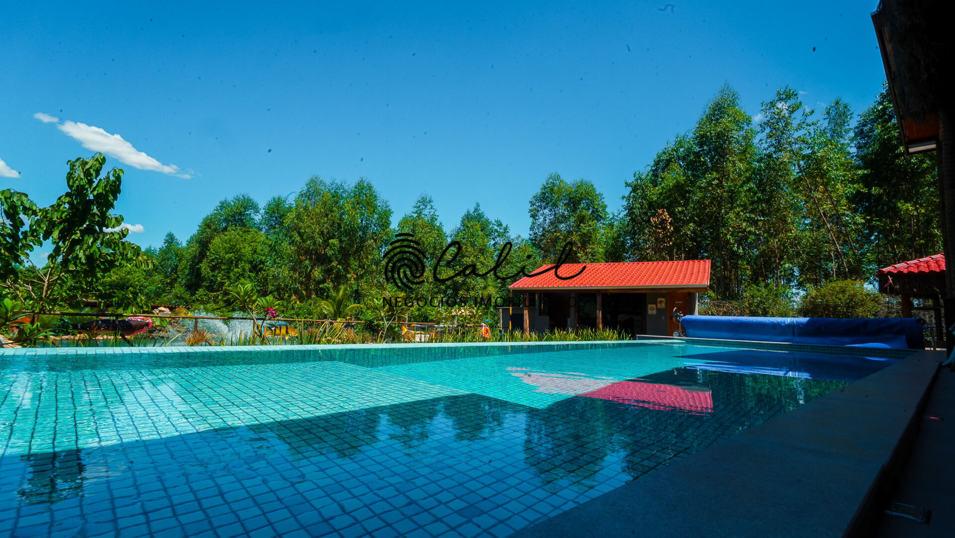 Chácara à venda com 5 quartos, 4000m² - Foto 50