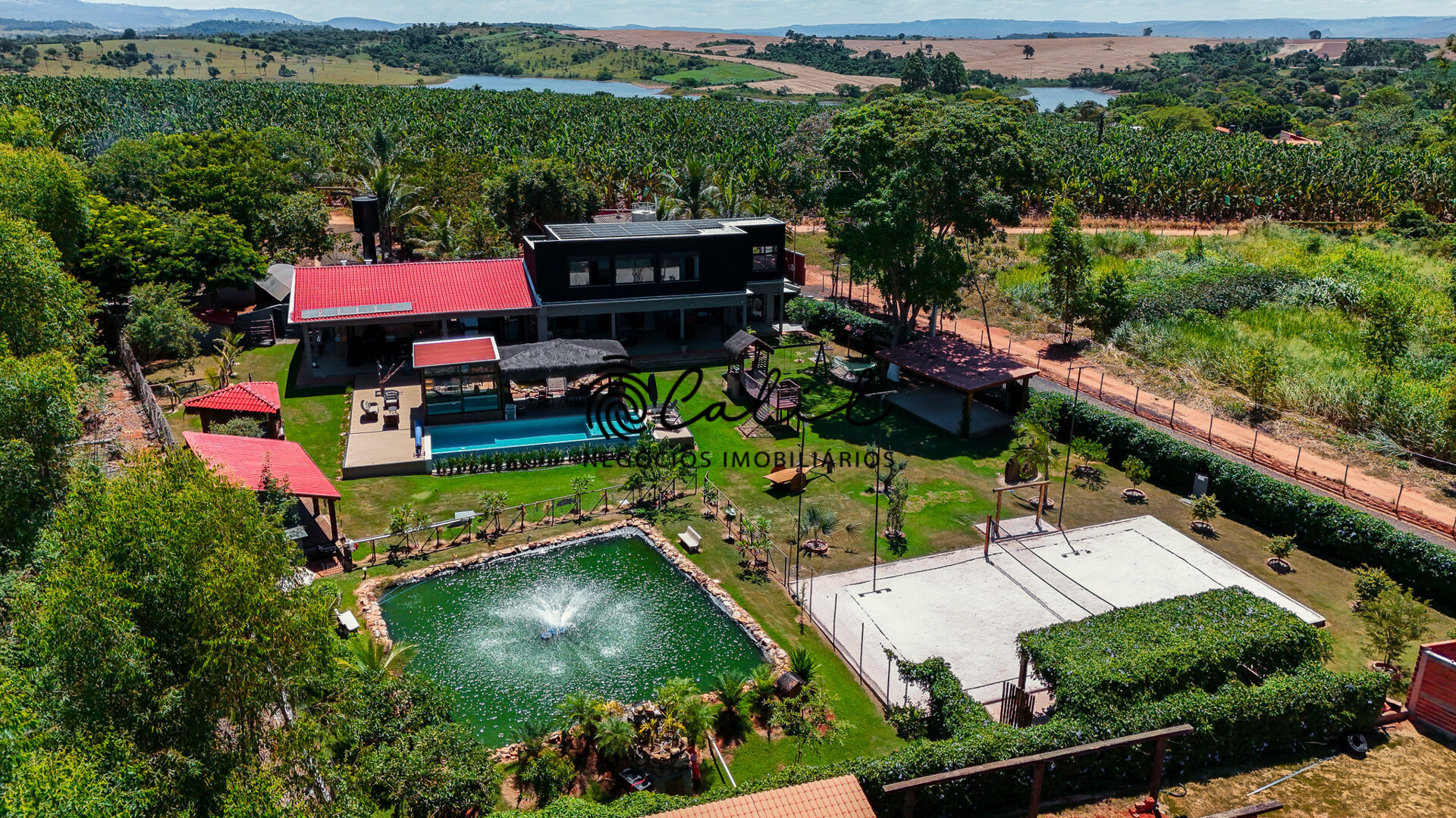 Chácara à venda com 5 quartos, 4000m² - Foto 10