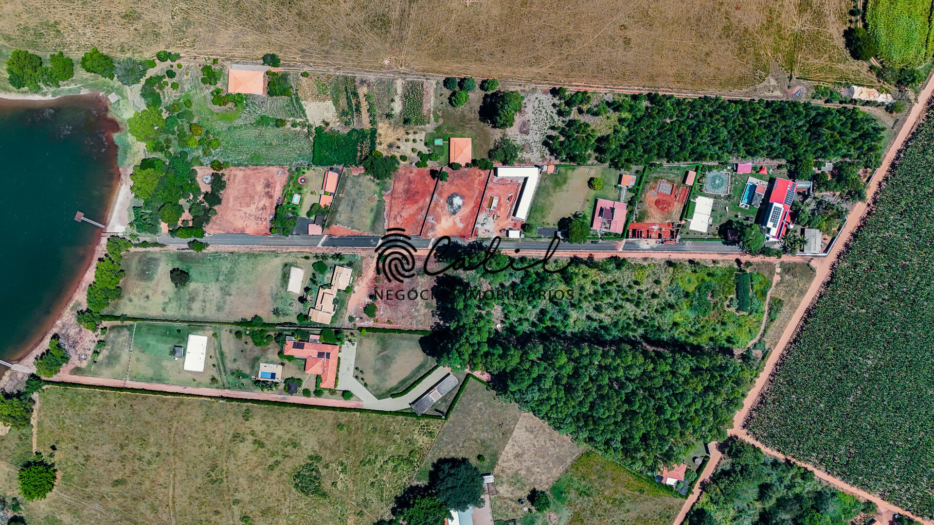 Chácara à venda com 5 quartos, 4000m² - Foto 15