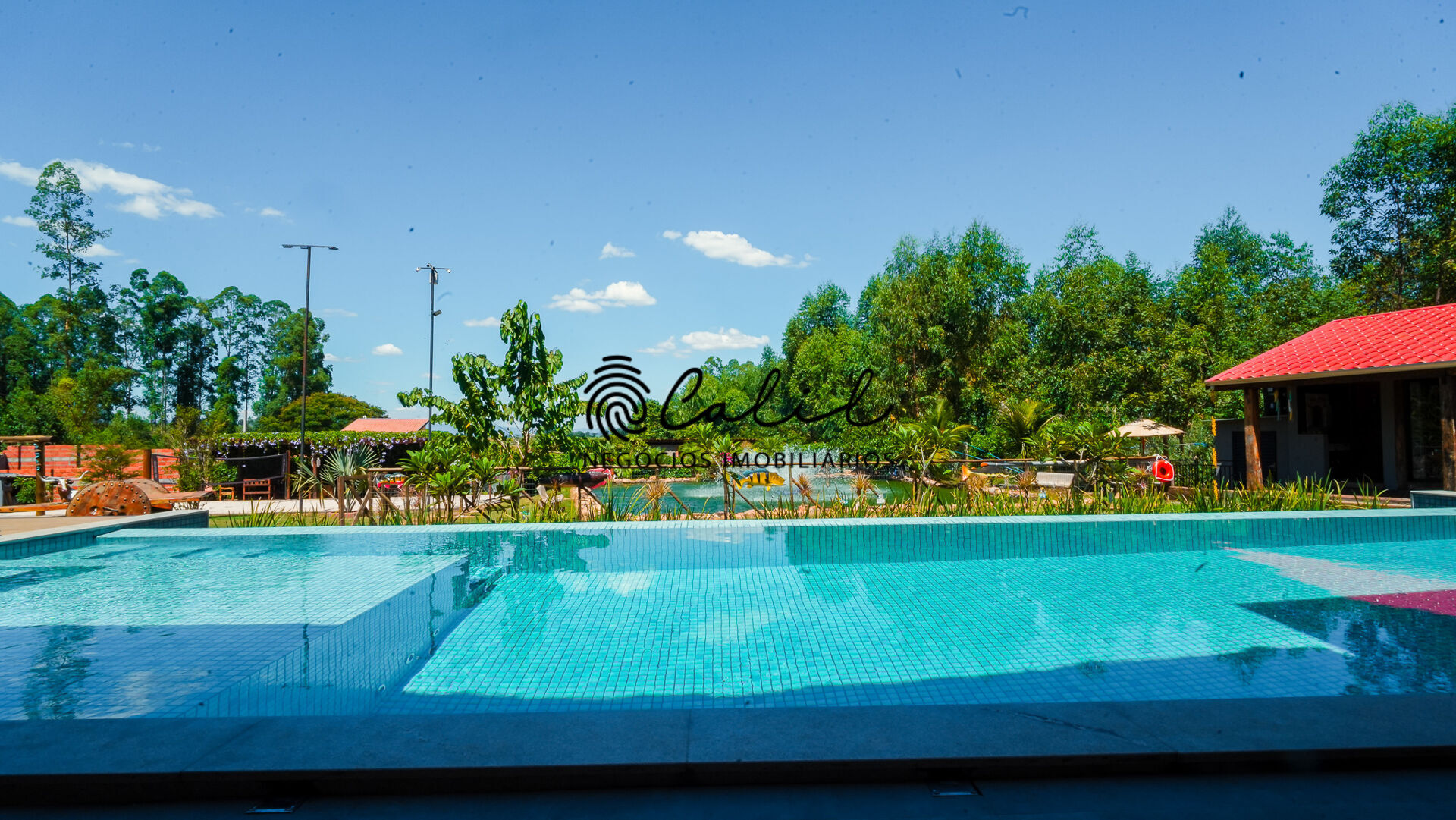 Chácara à venda com 5 quartos, 4000m² - Foto 48