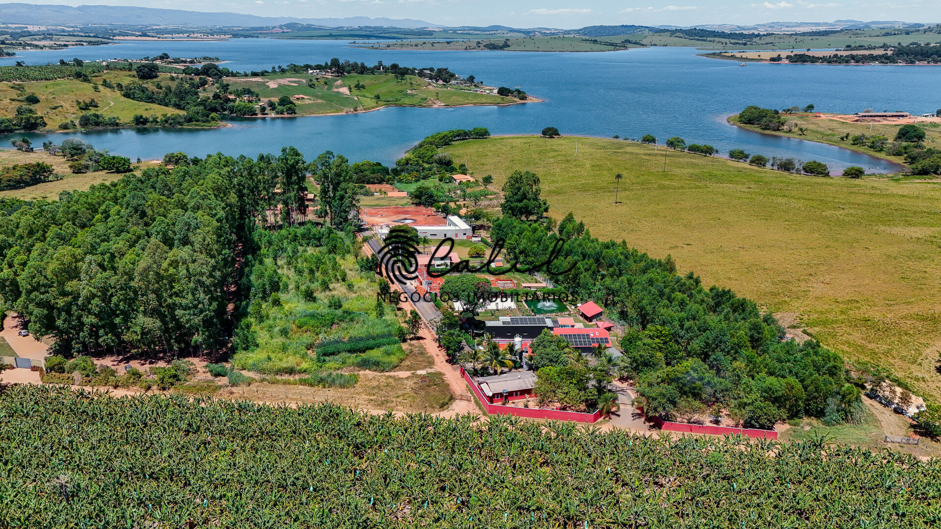 Chácara à venda com 5 quartos, 4000m² - Foto 11