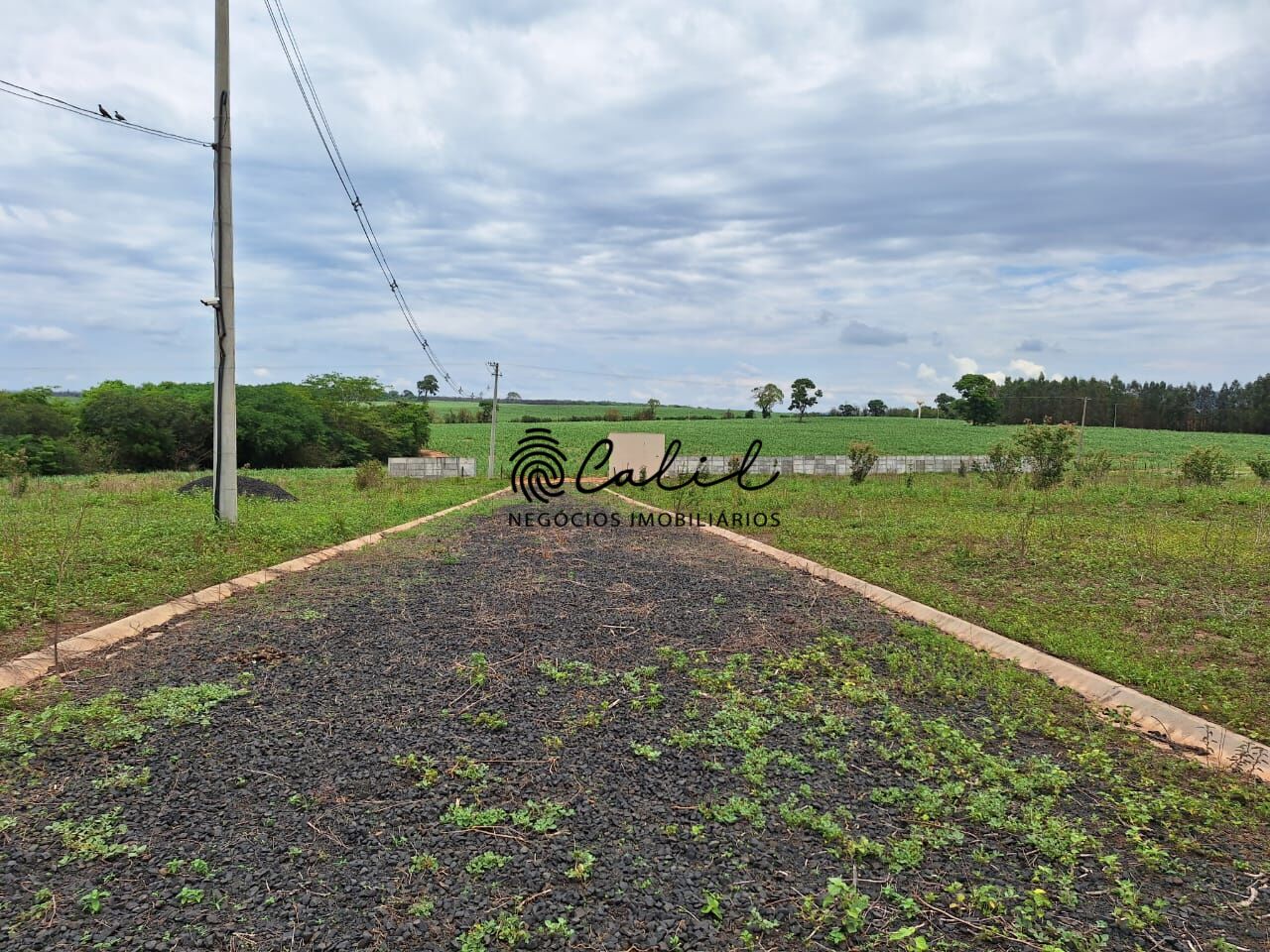 Terreno, 3 hectares - Foto 6