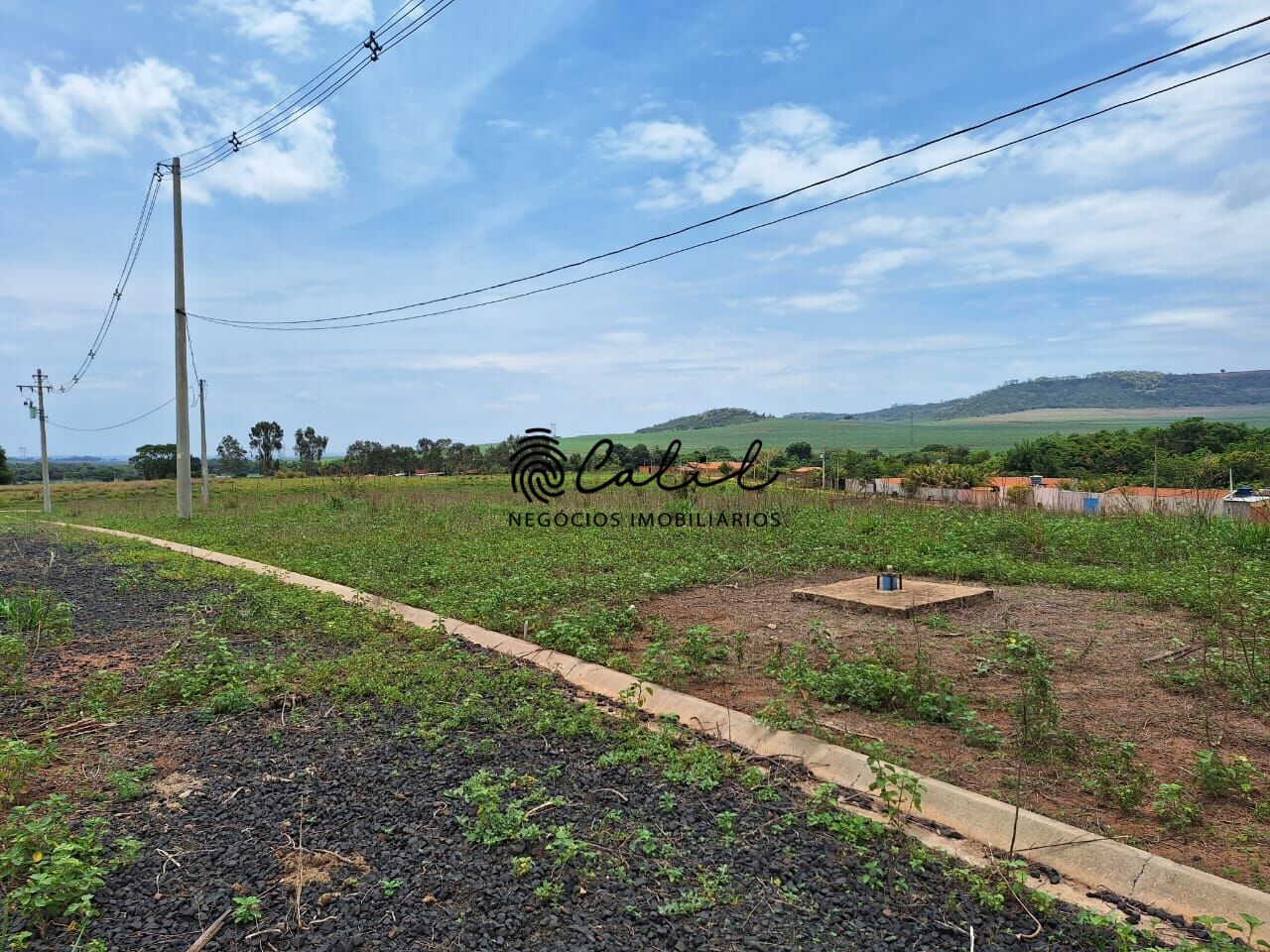 Terreno, 3 hectares - Foto 8