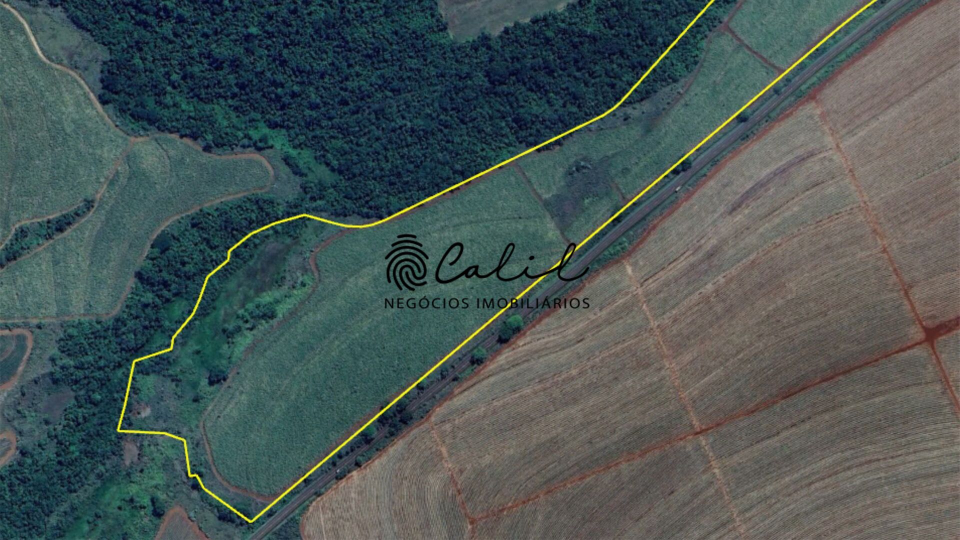 Fazenda, 132 hectares - Foto 7