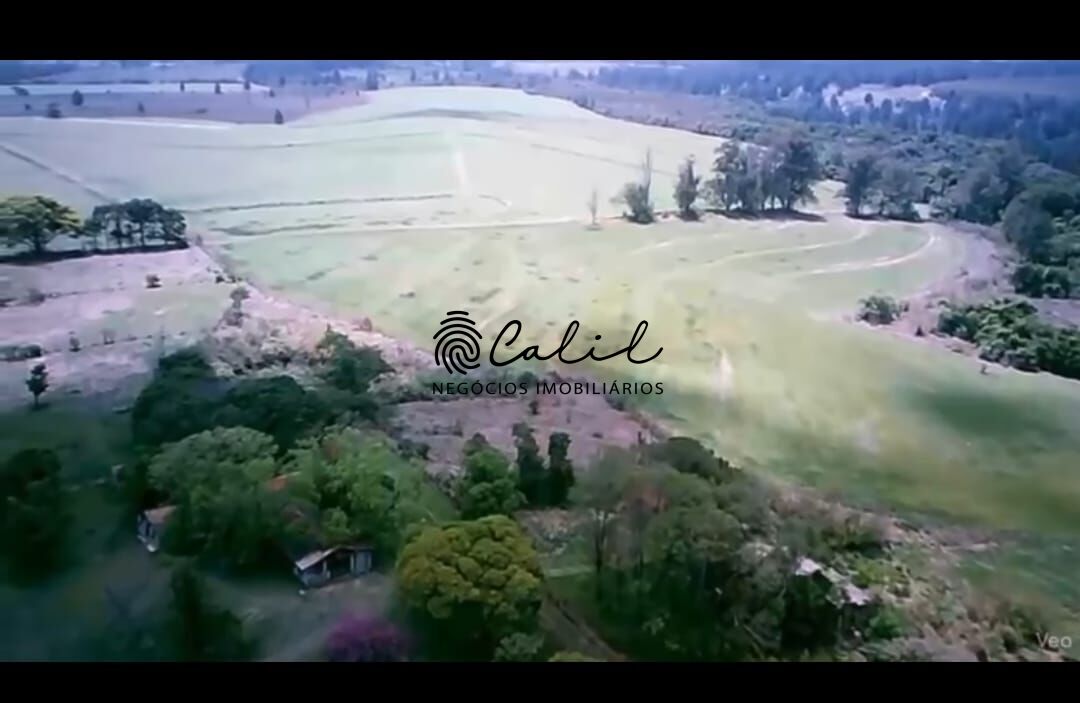 Fazenda, 132 hectares - Foto 4