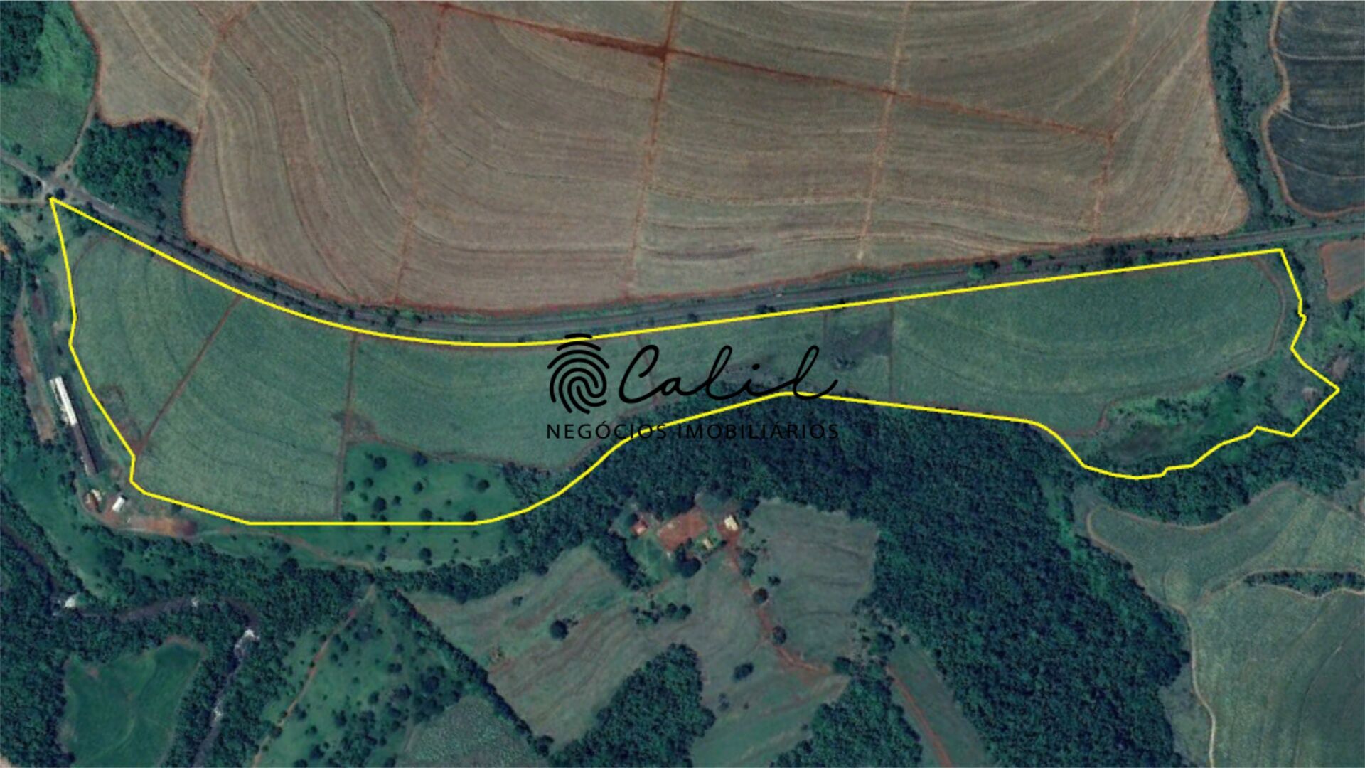 Fazenda, 132 hectares - Foto 3