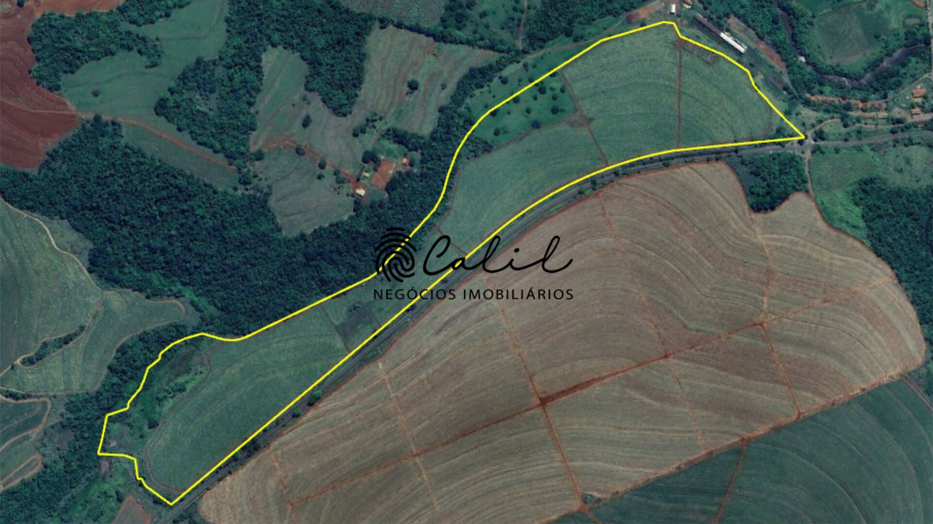 Fazenda, 132 hectares - Foto 4