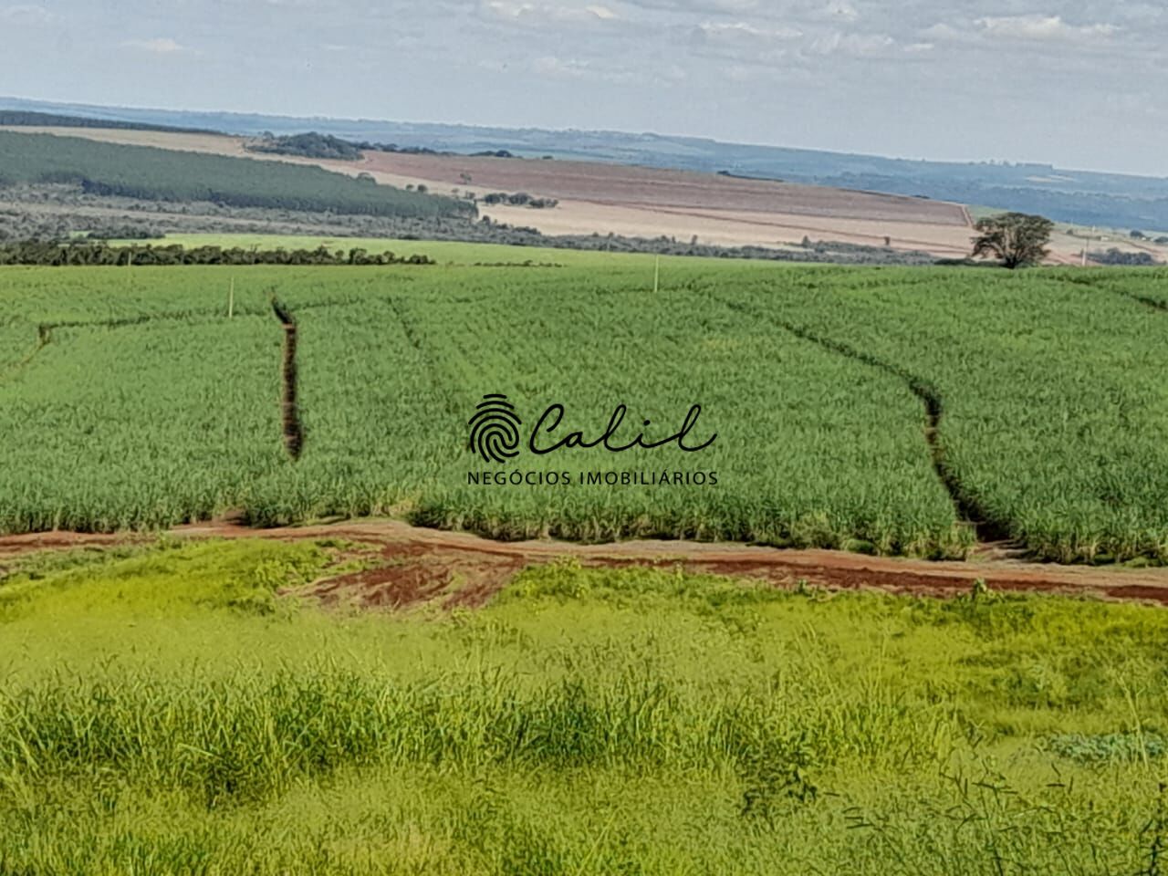 Fazenda, 18 m² - Foto 2