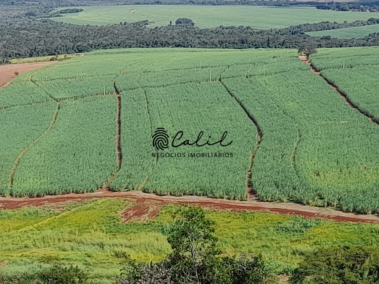 Fazenda, 18 m² - Foto 1