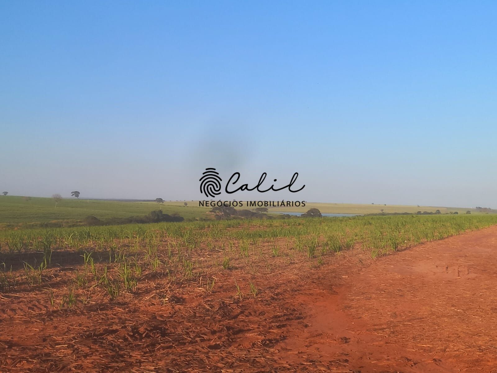 Fazenda à venda com 1 quarto, 4646400m² - Foto 12
