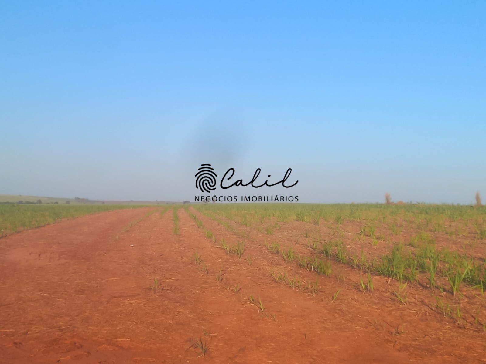 Fazenda à venda com 1 quarto, 4646400m² - Foto 17