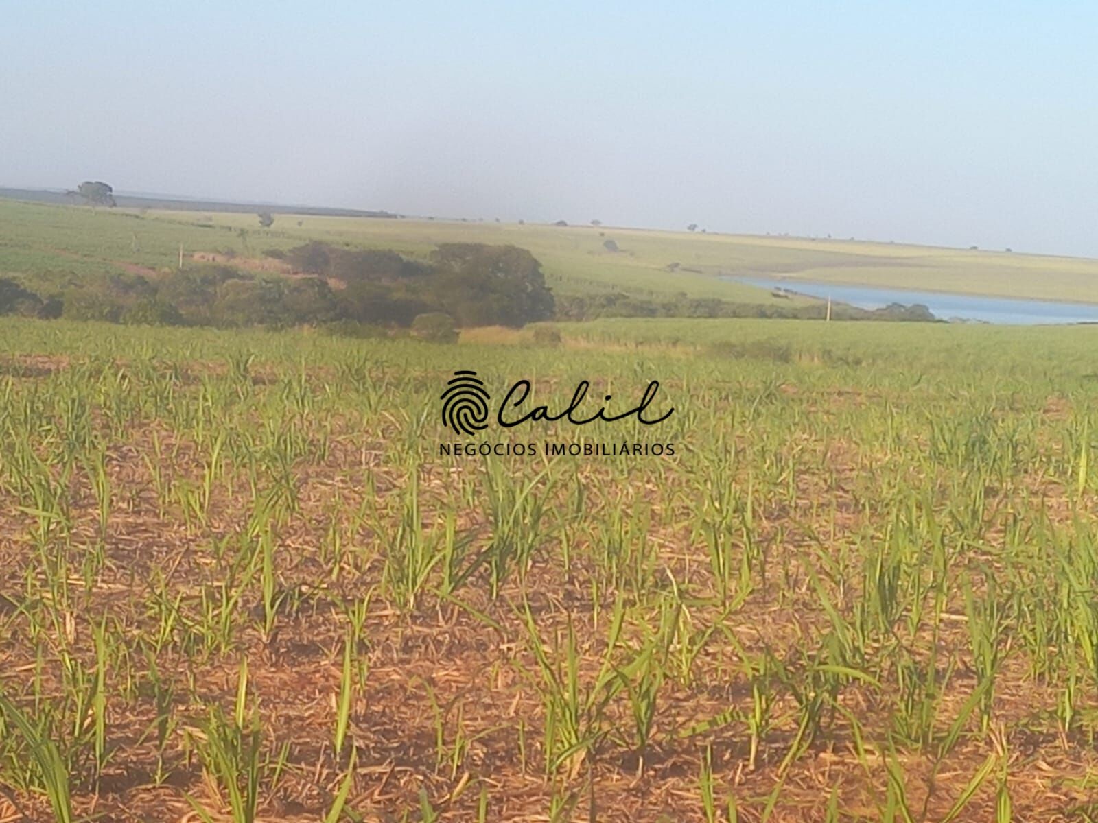 Fazenda à venda com 1 quarto, 4646400m² - Foto 7