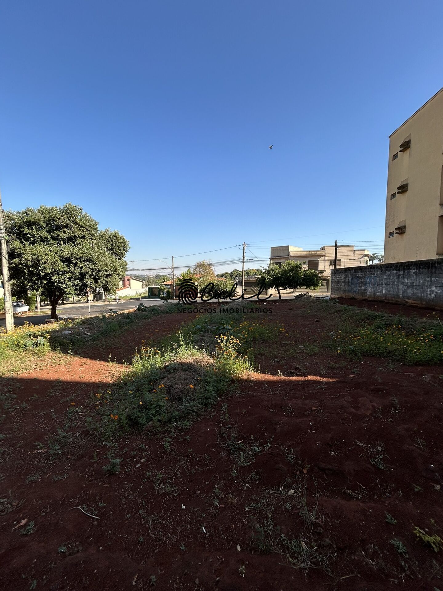 Terreno, 520 m² - Foto 12