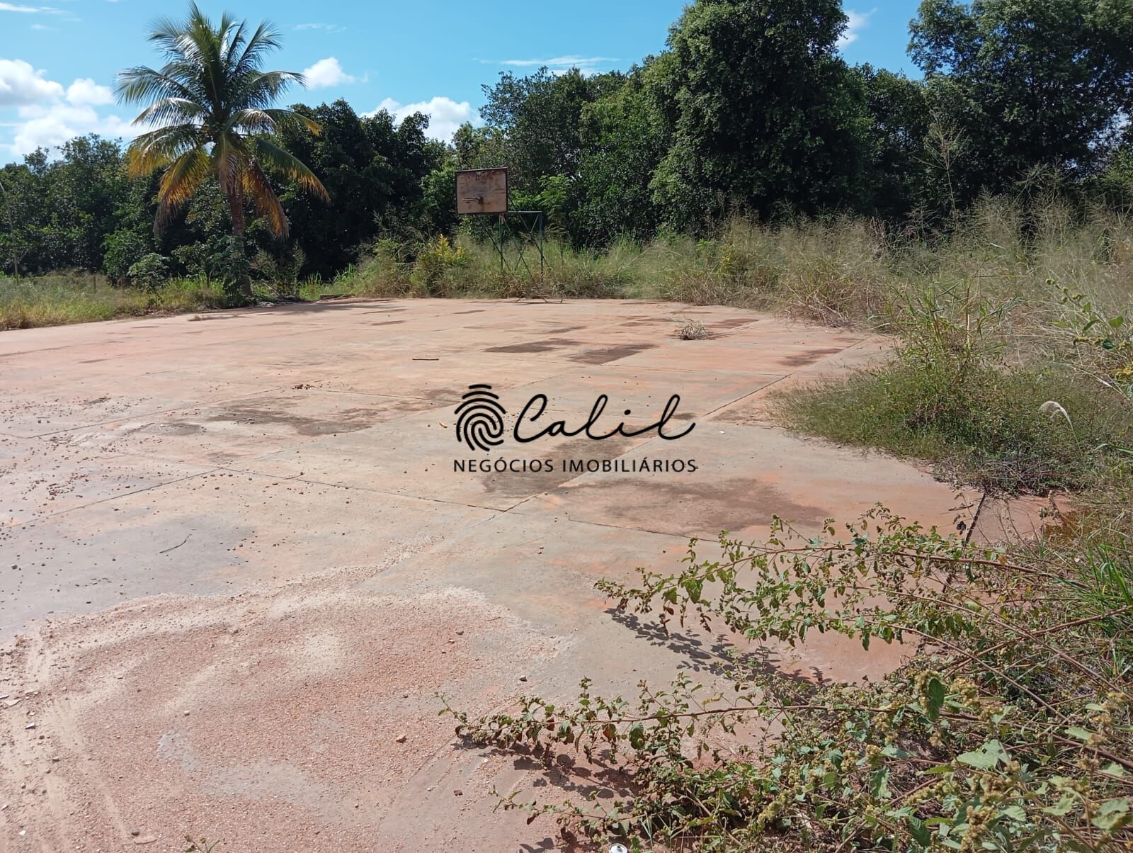 Chácara, 7 quartos, 10000 m² - Foto 11