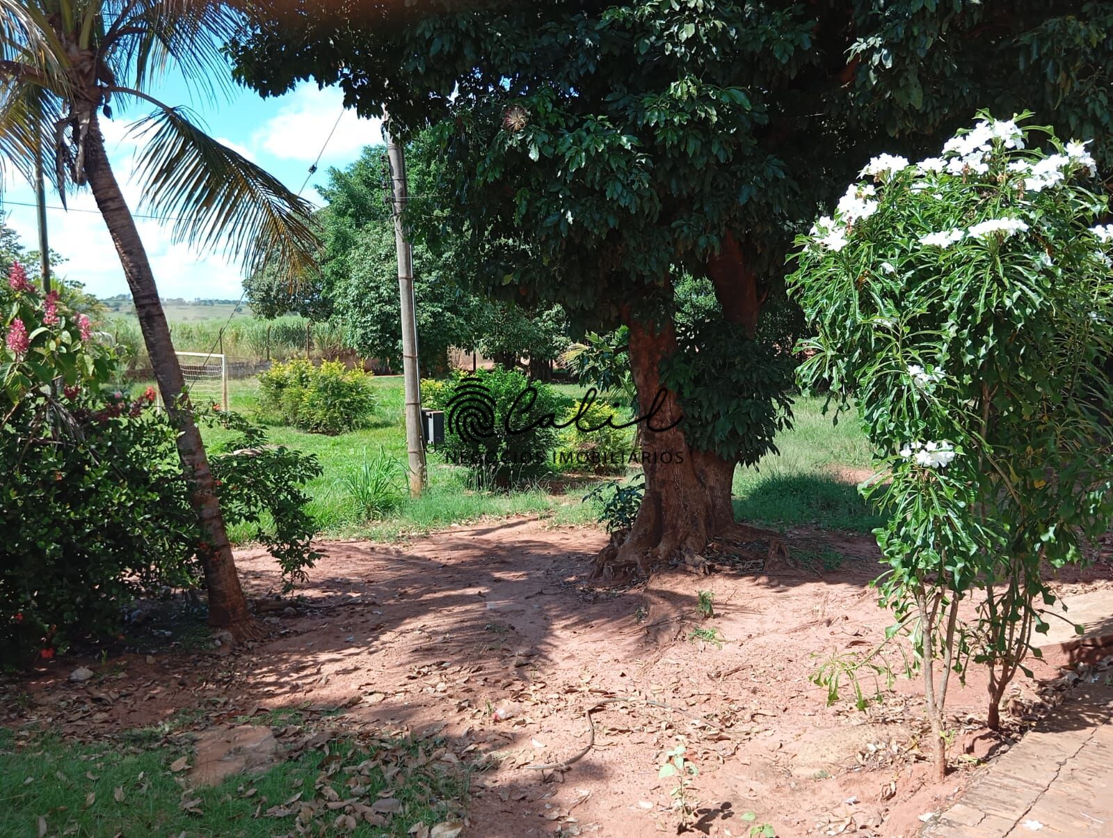 Chácara, 7 quartos, 10000 m² - Foto 15