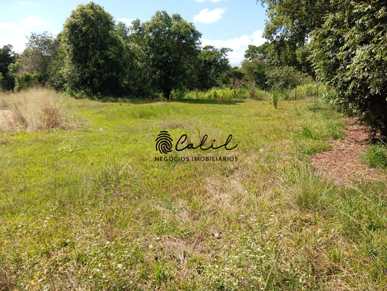 Chácara, 7 quartos, 10000 m² - Foto 14