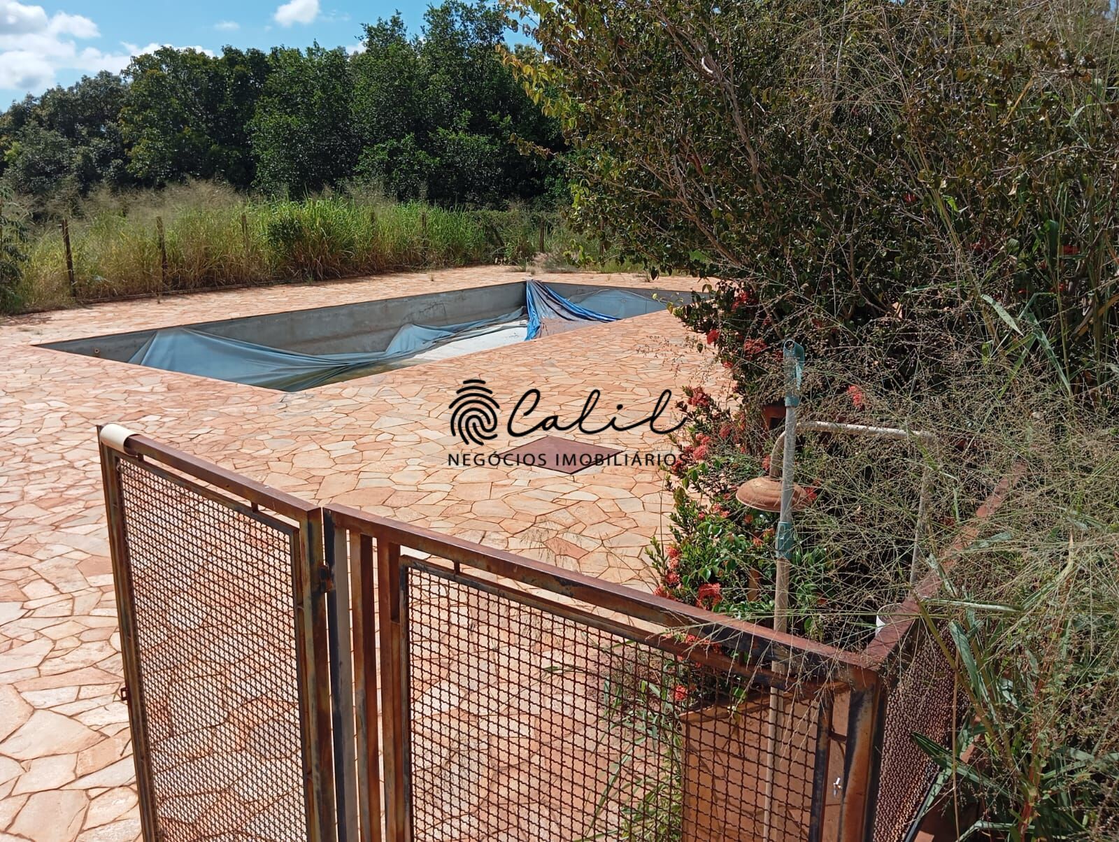 Chácara, 7 quartos, 10000 m² - Foto 7