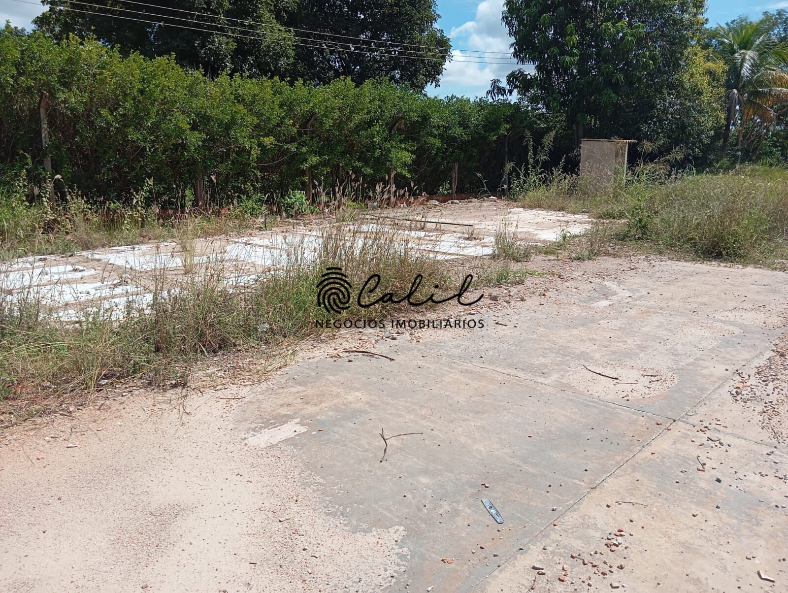 Chácara, 7 quartos, 10000 m² - Foto 12