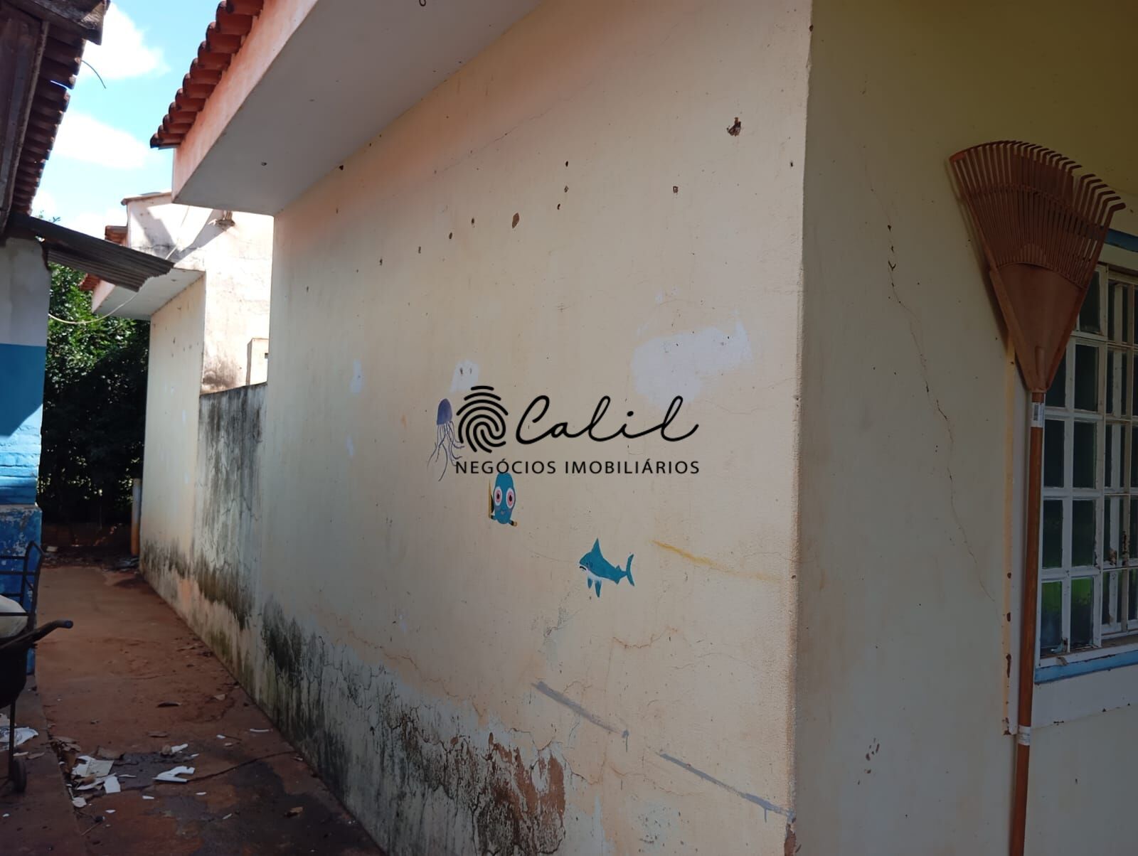 Chácara, 7 quartos, 10000 m² - Foto 23