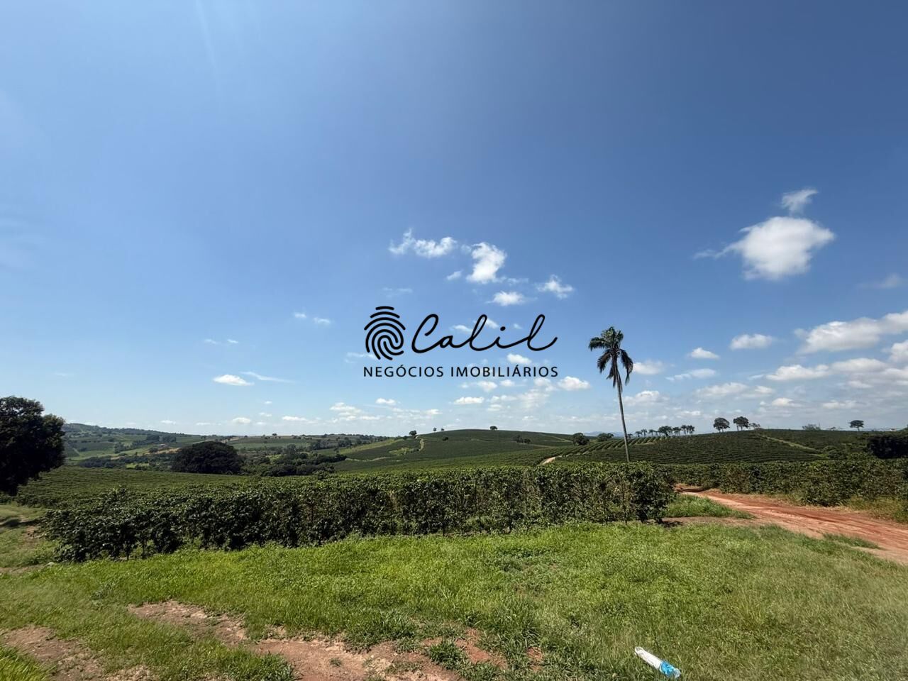 Fazenda, 640 hectares - Foto 5