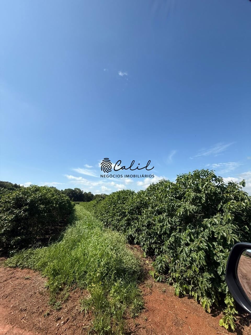 Fazenda, 640 hectares - Foto 12