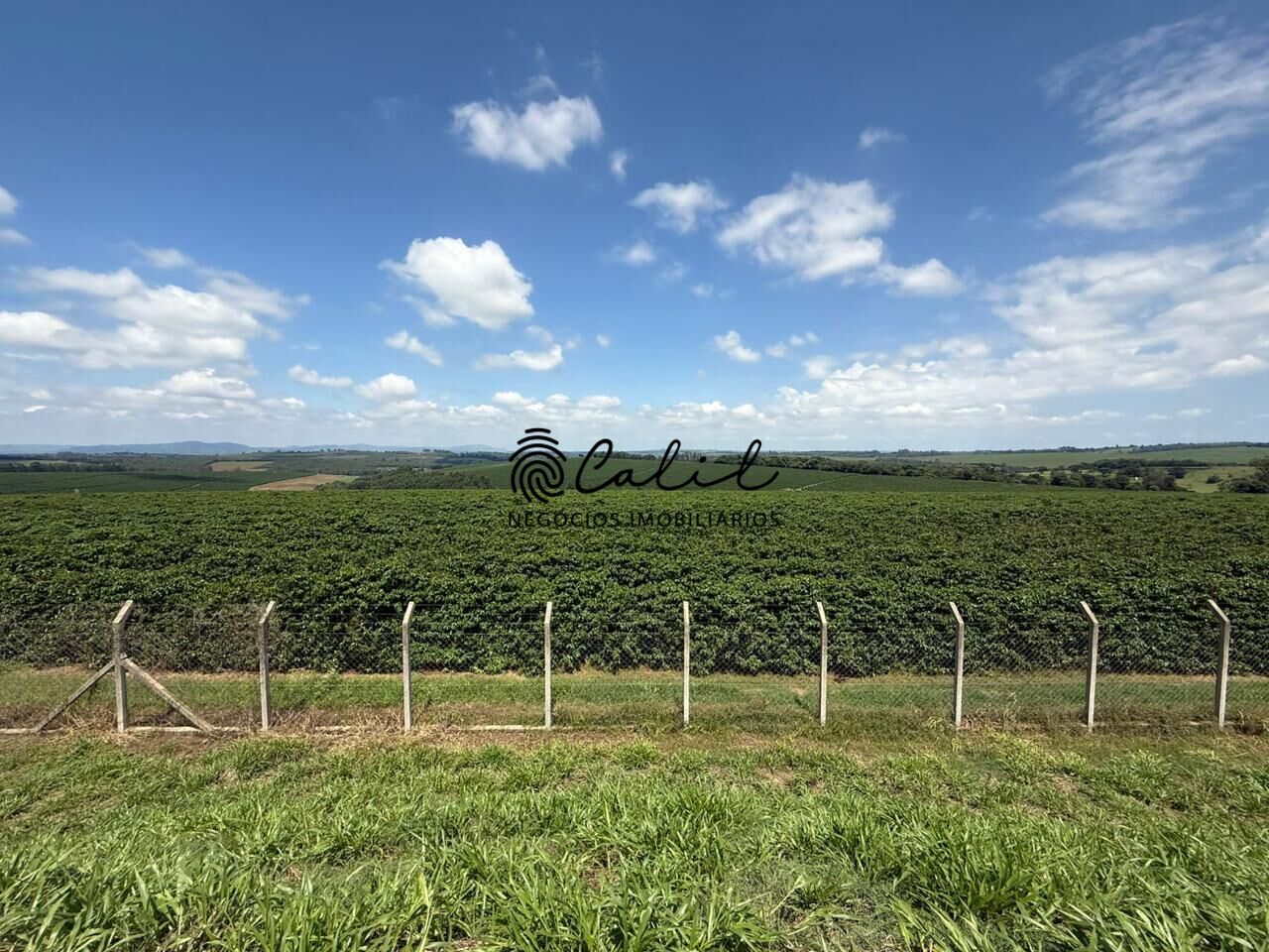Fazenda, 640 hectares - Foto 18