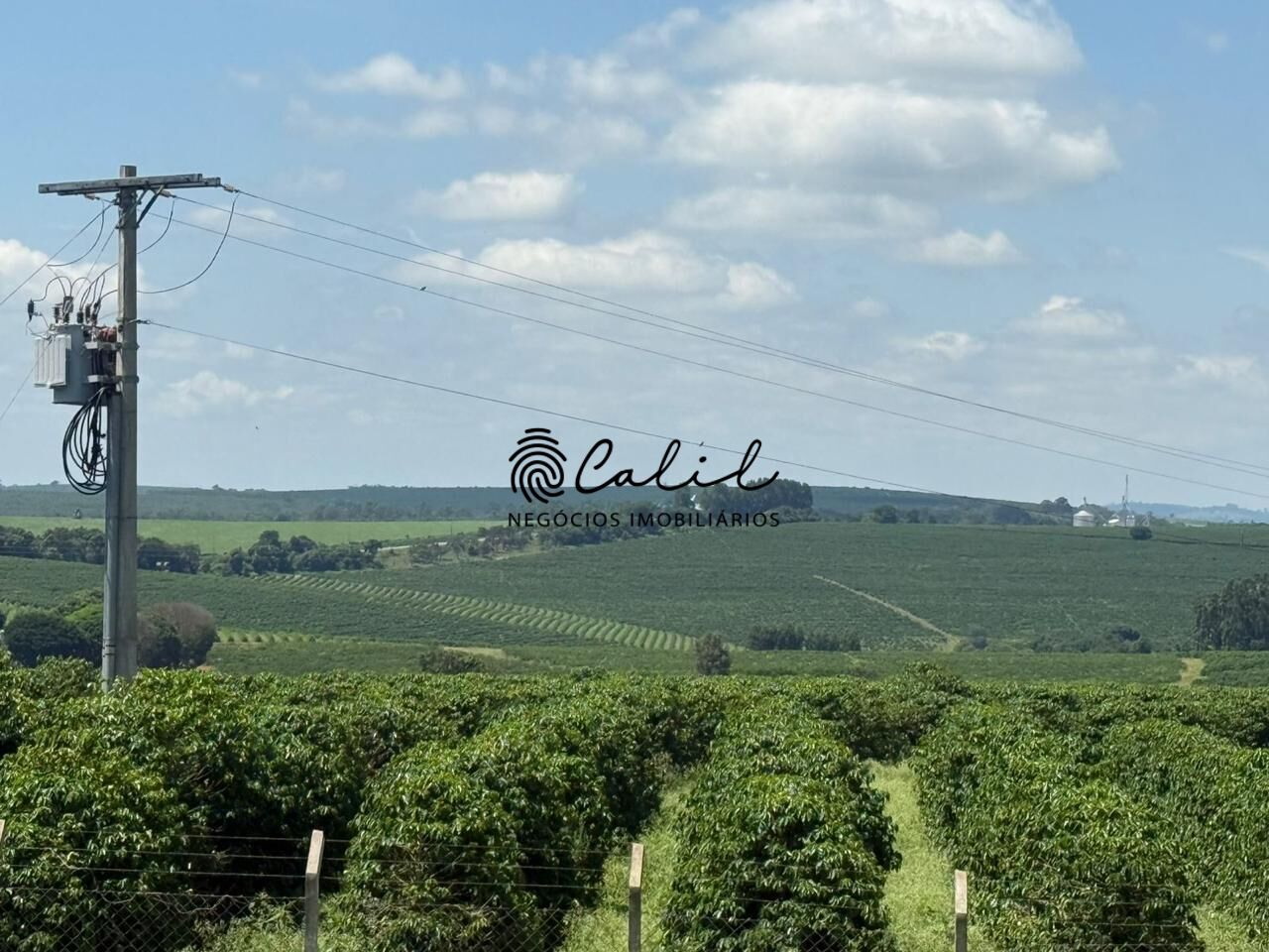 Fazenda, 640 hectares - Foto 13