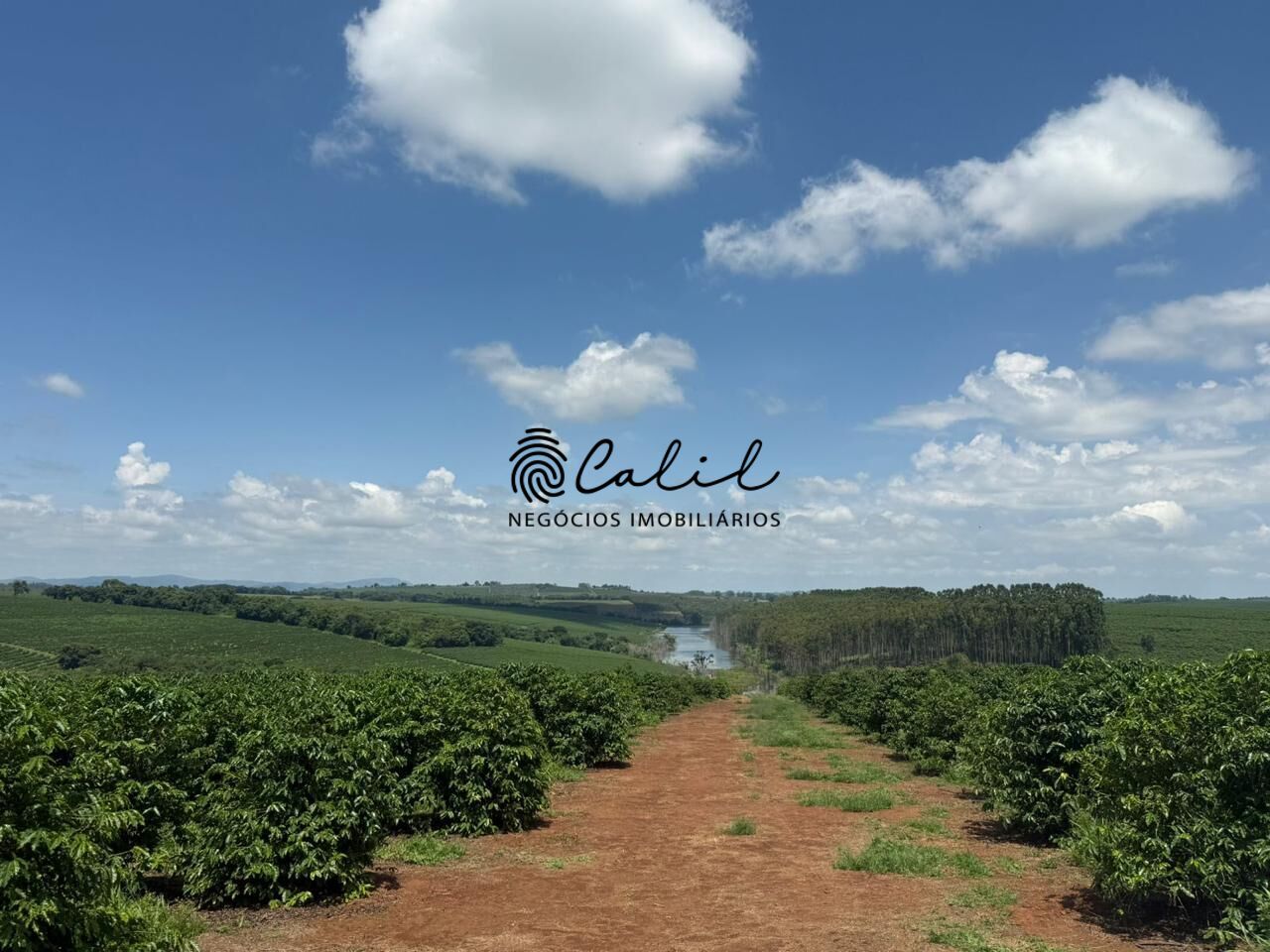 Fazenda, 640 hectares - Foto 8