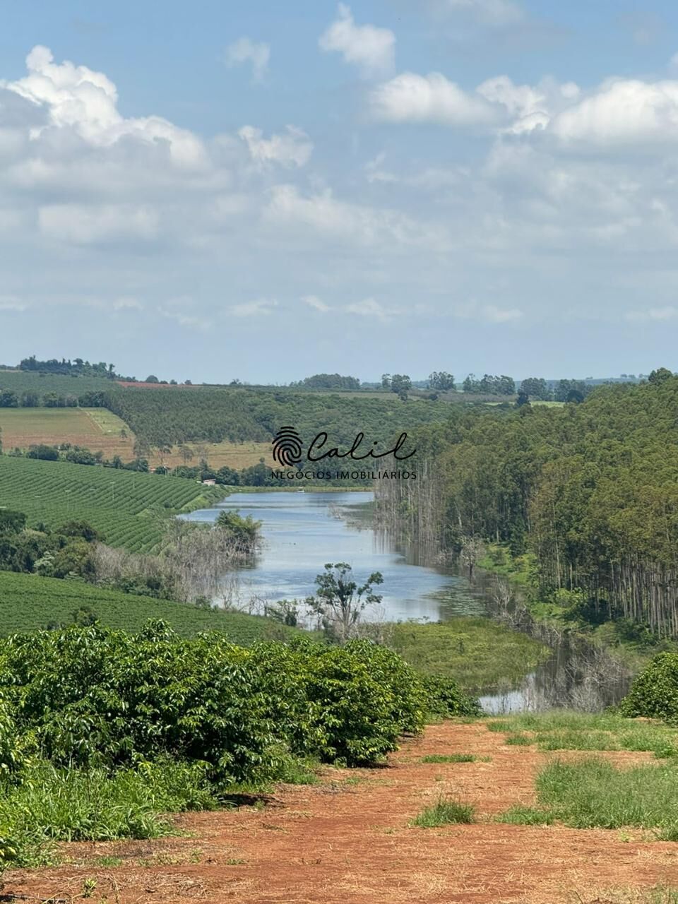 Fazenda, 640 hectares - Foto 23