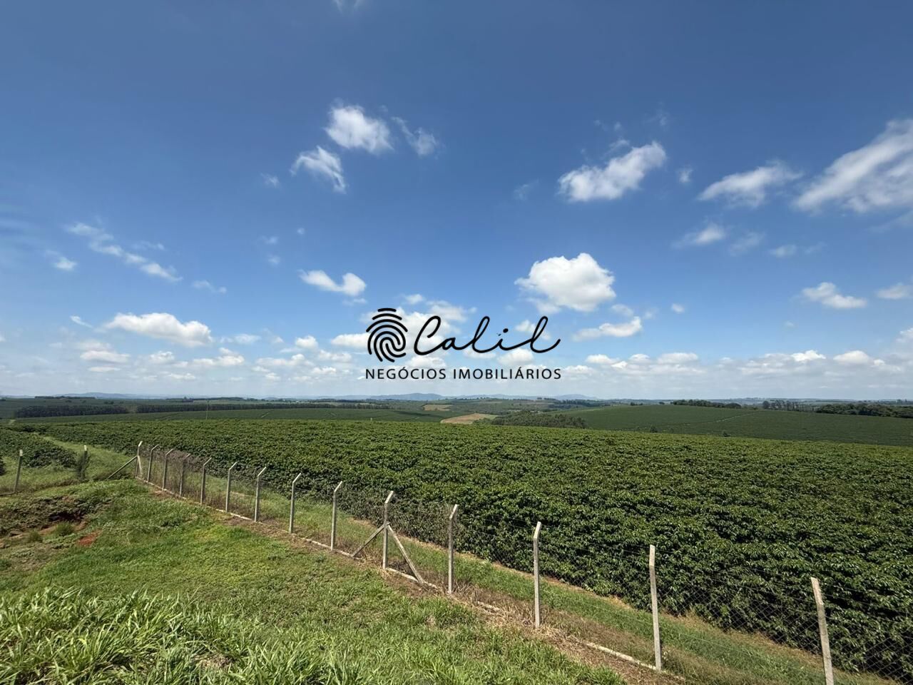 Fazenda, 640 hectares - Foto 21