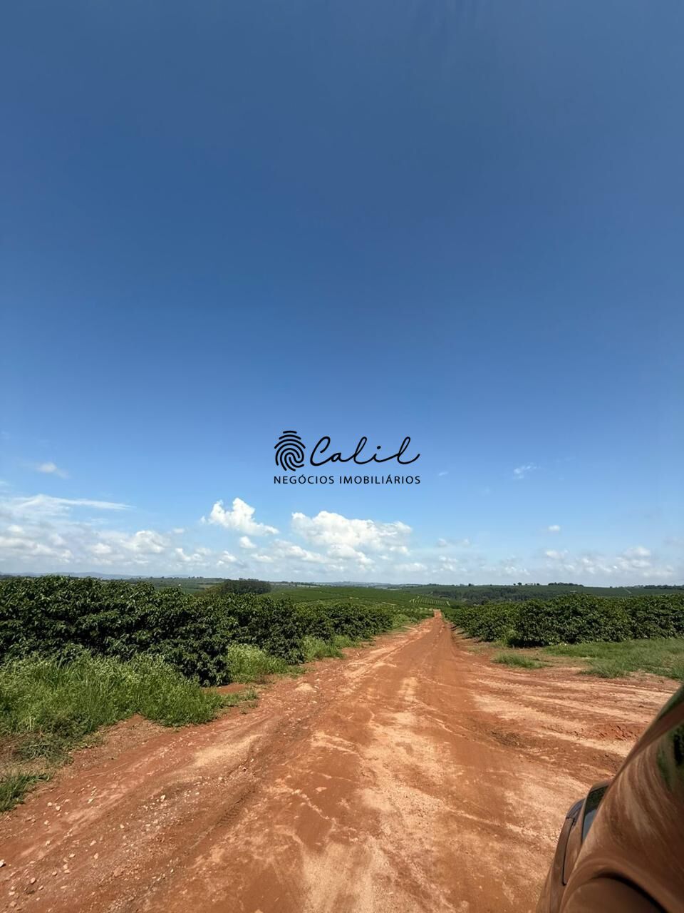 Fazenda, 640 hectares - Foto 24