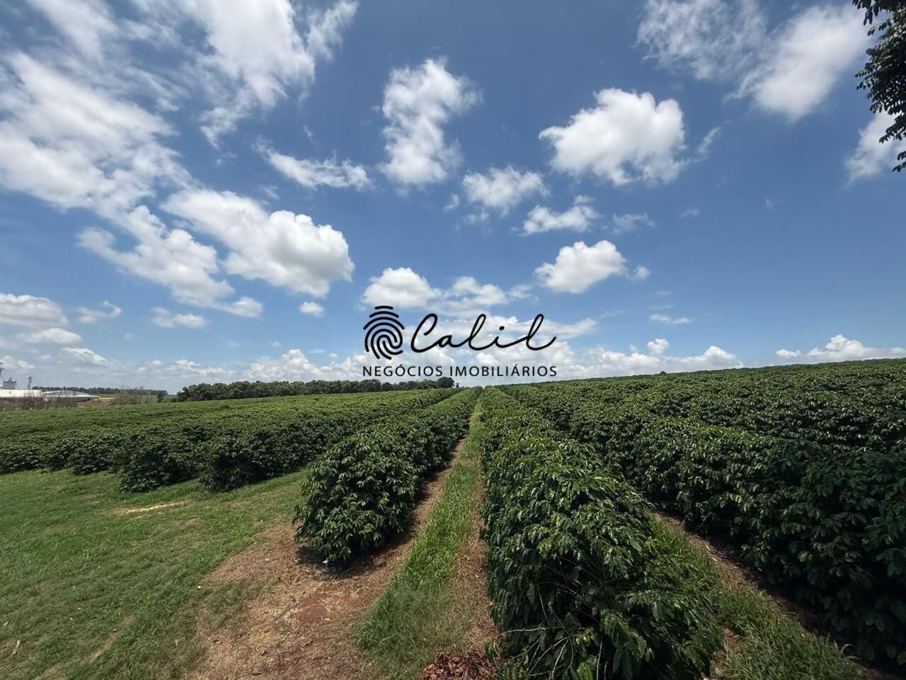 Fazenda, 640 hectares - Foto 22