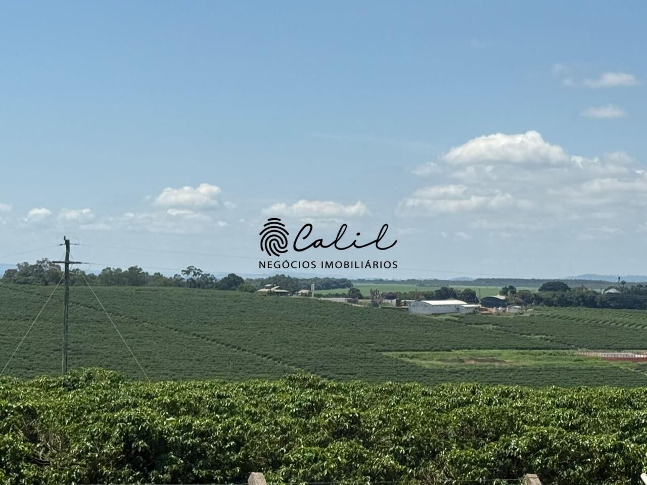 Fazenda, 640 hectares - Foto 10