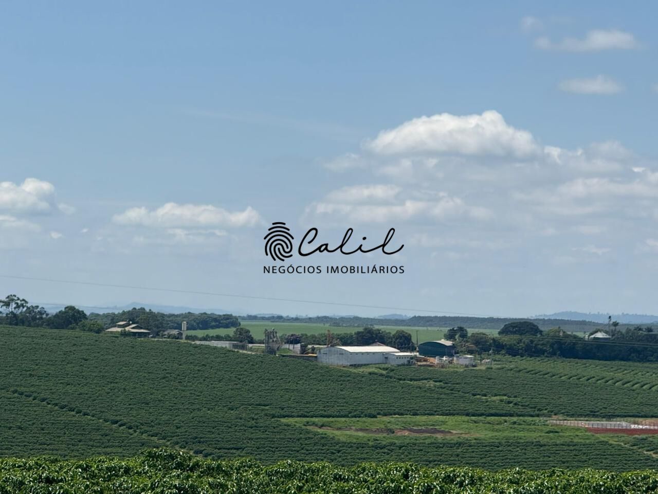 Fazenda, 640 hectares - Foto 9