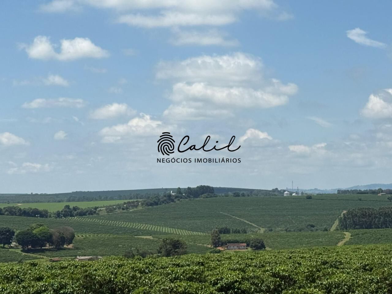 Fazenda, 640 hectares - Foto 11