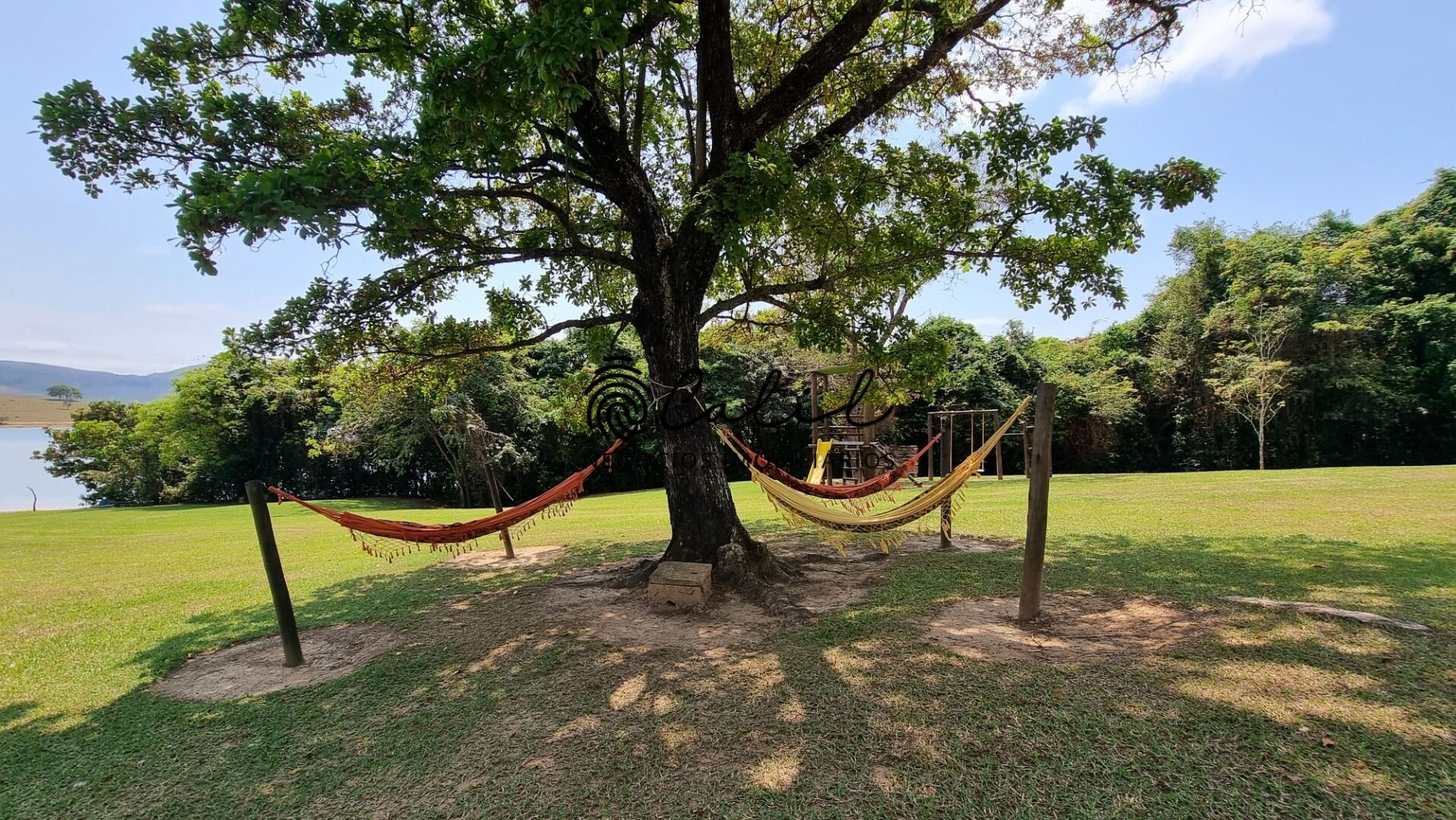 Fazenda à venda com 10 quartos, 1500m² - Foto 12