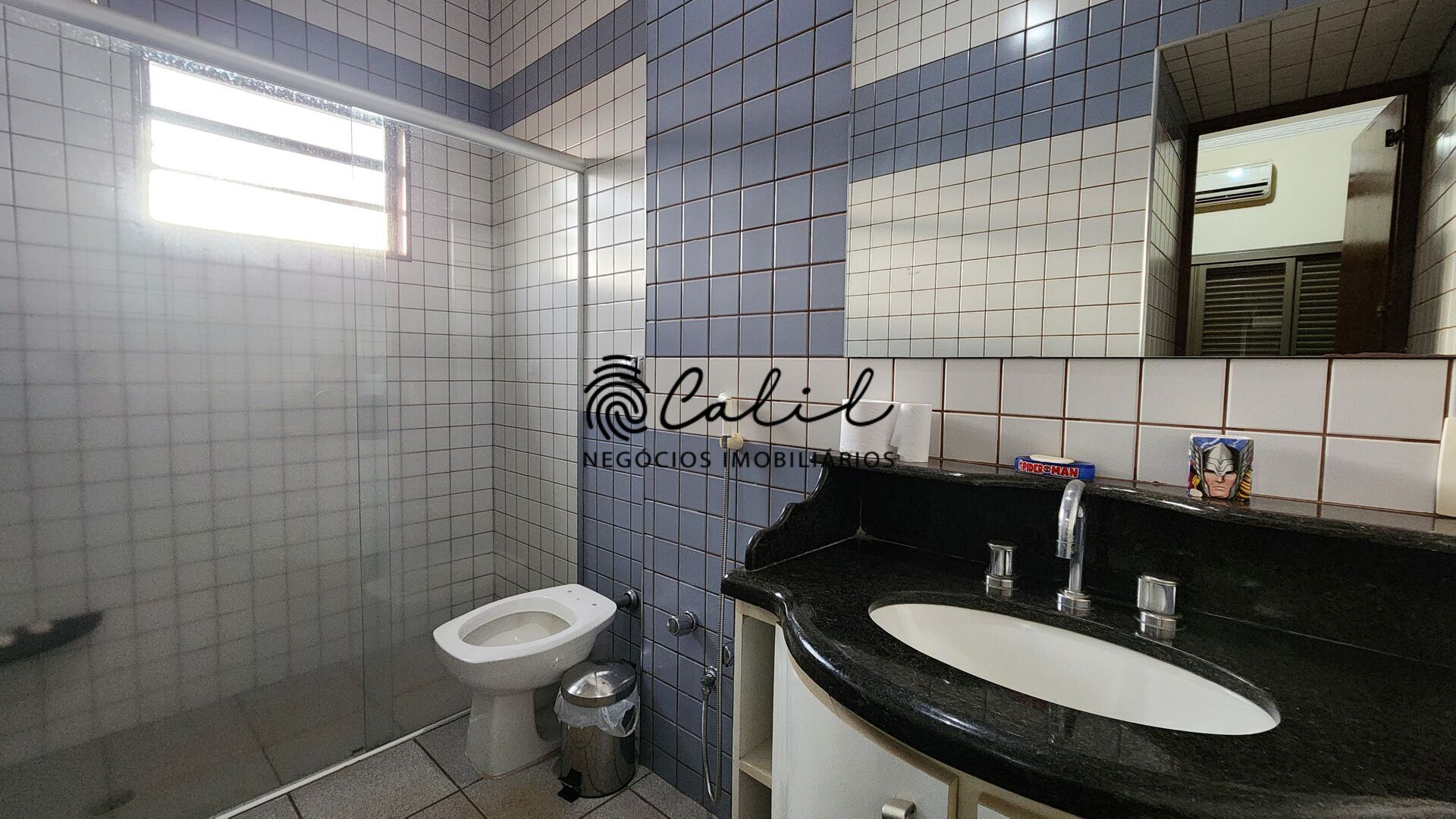 Casa, 4 quartos, 398 m² - Foto 38