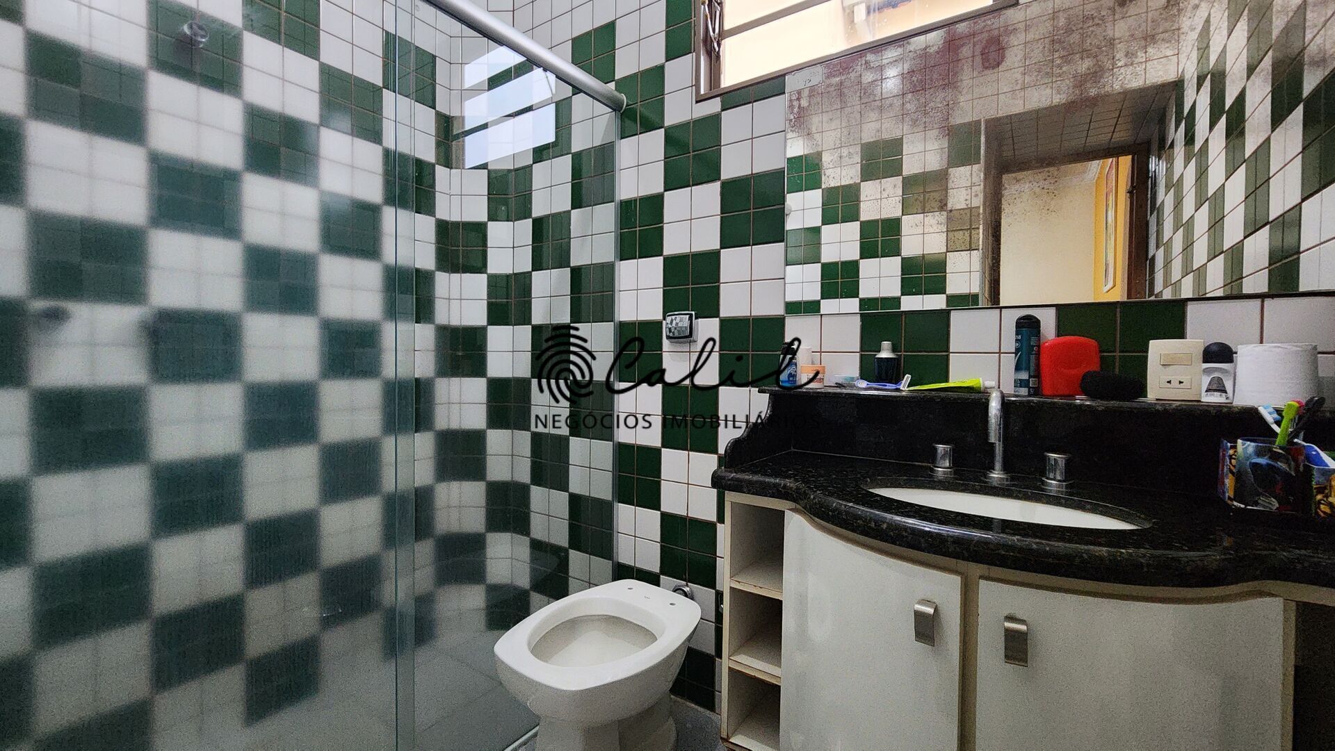 Casa, 4 quartos, 398 m² - Foto 34