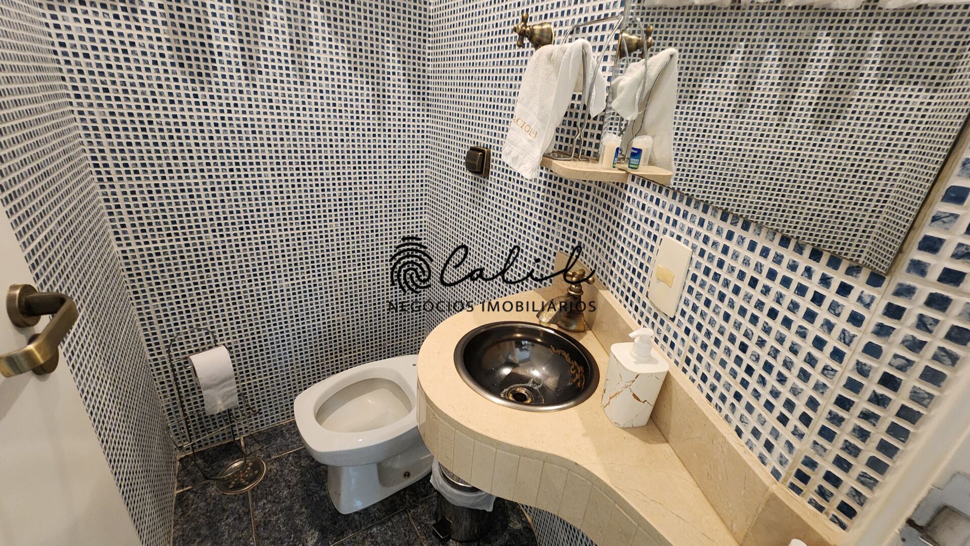 Casa, 4 quartos, 398 m² - Foto 11