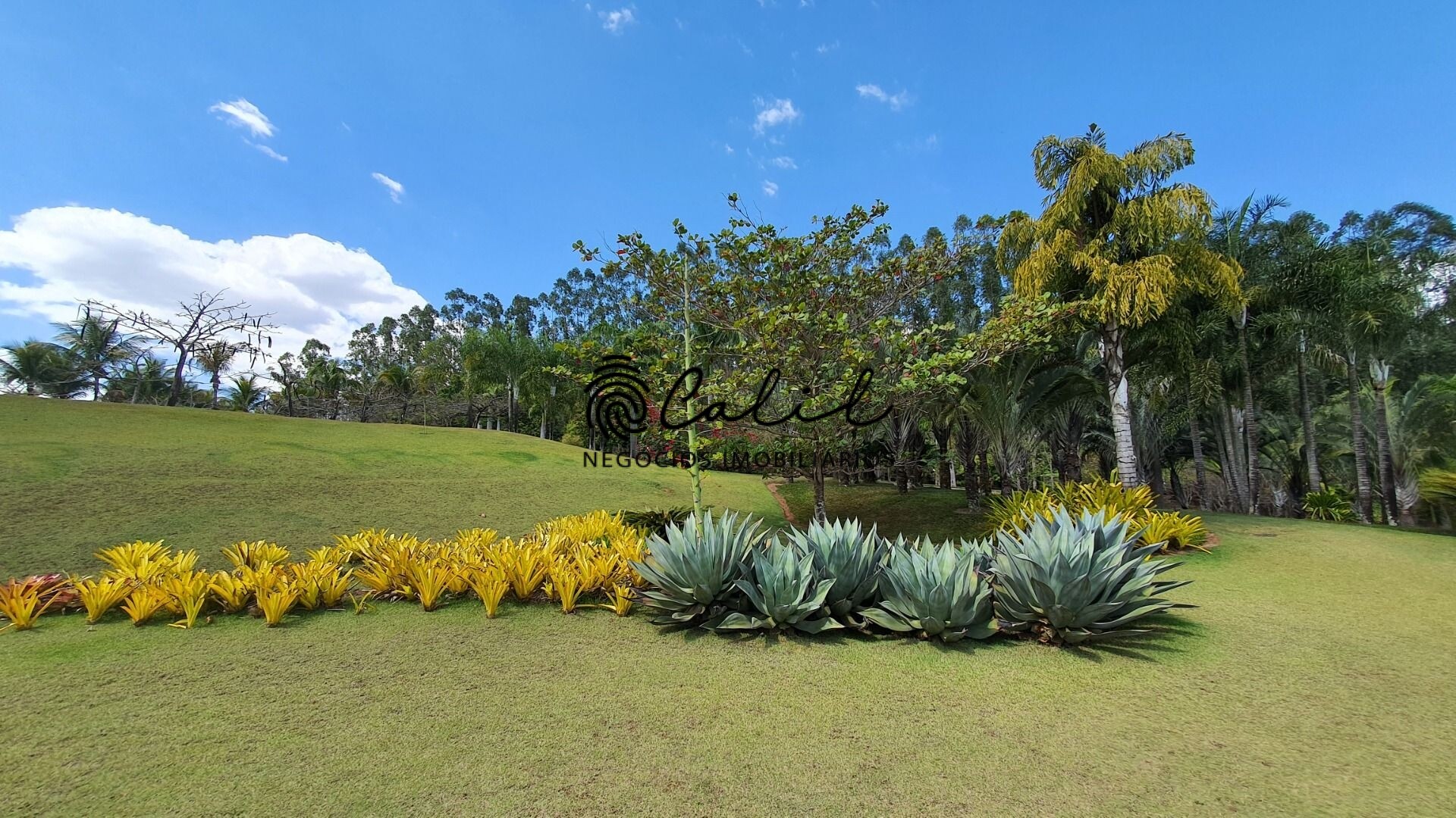 Fazenda à venda com 5 quartos, 1500m² - Foto 74