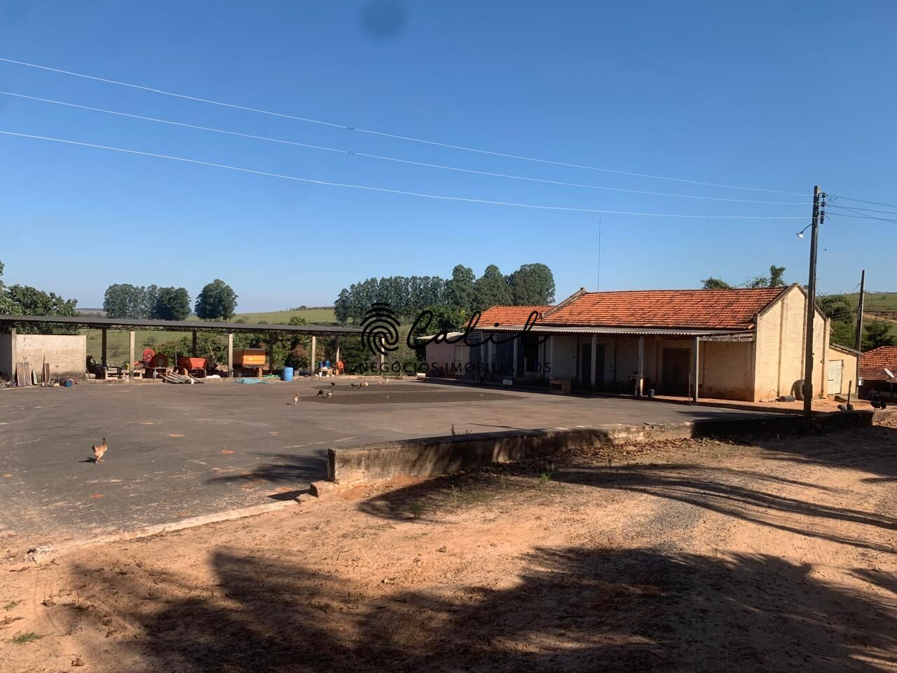 Fazenda, 235 hectares - Foto 3