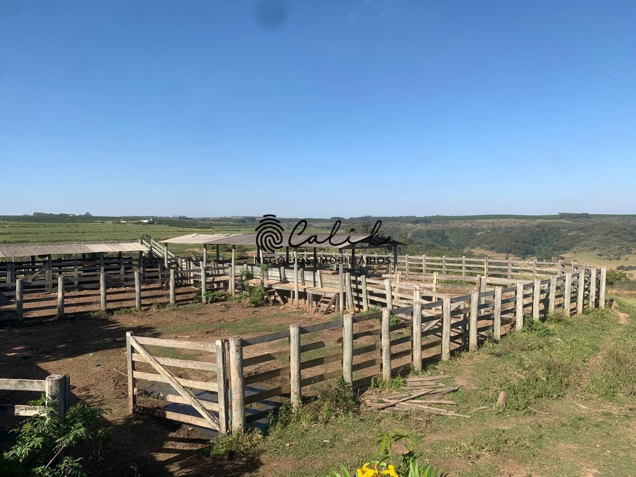 Fazenda, 235 hectares - Foto 6