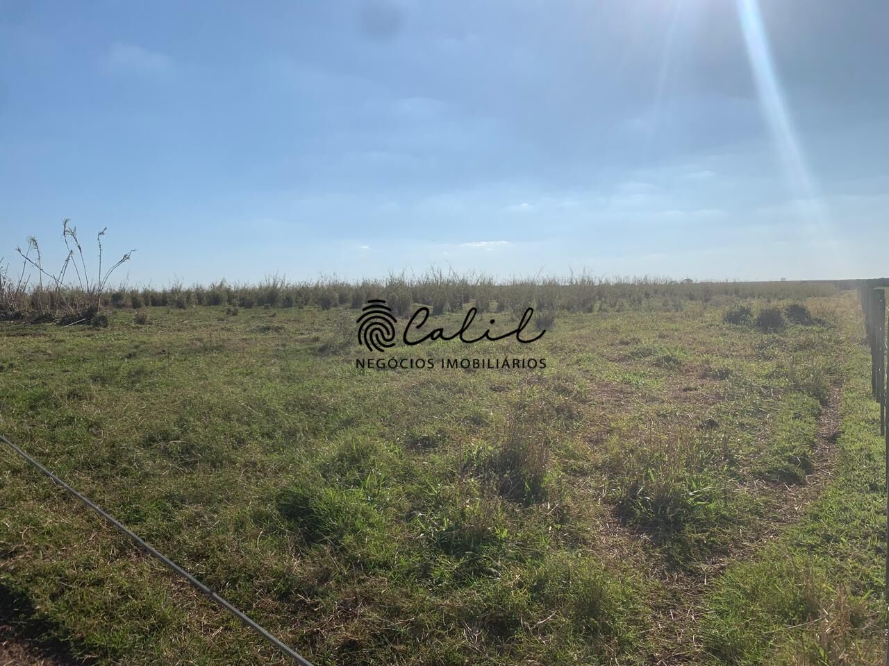 Fazenda, 235 hectares - Foto 9