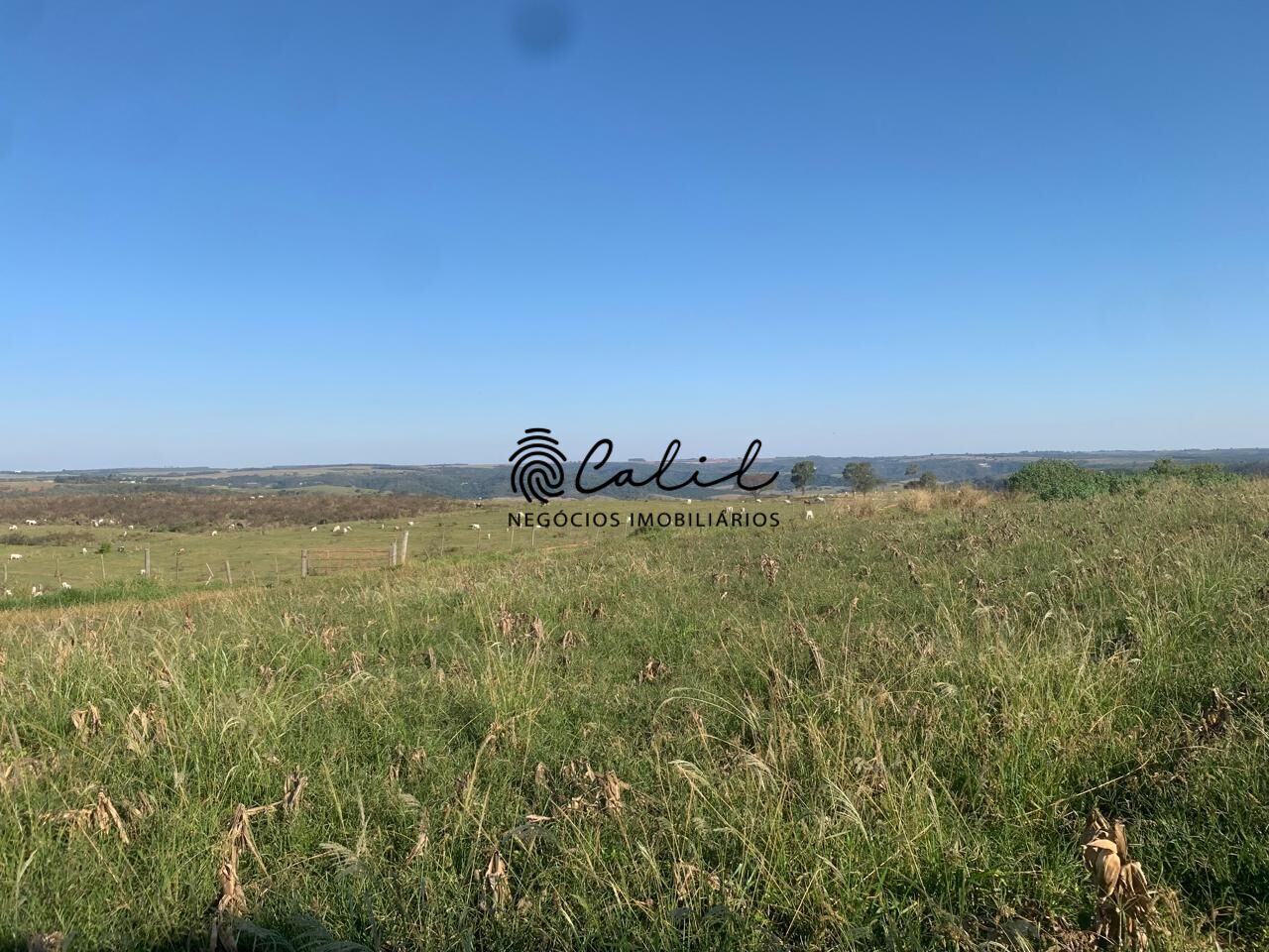 Fazenda, 235 hectares - Foto 14