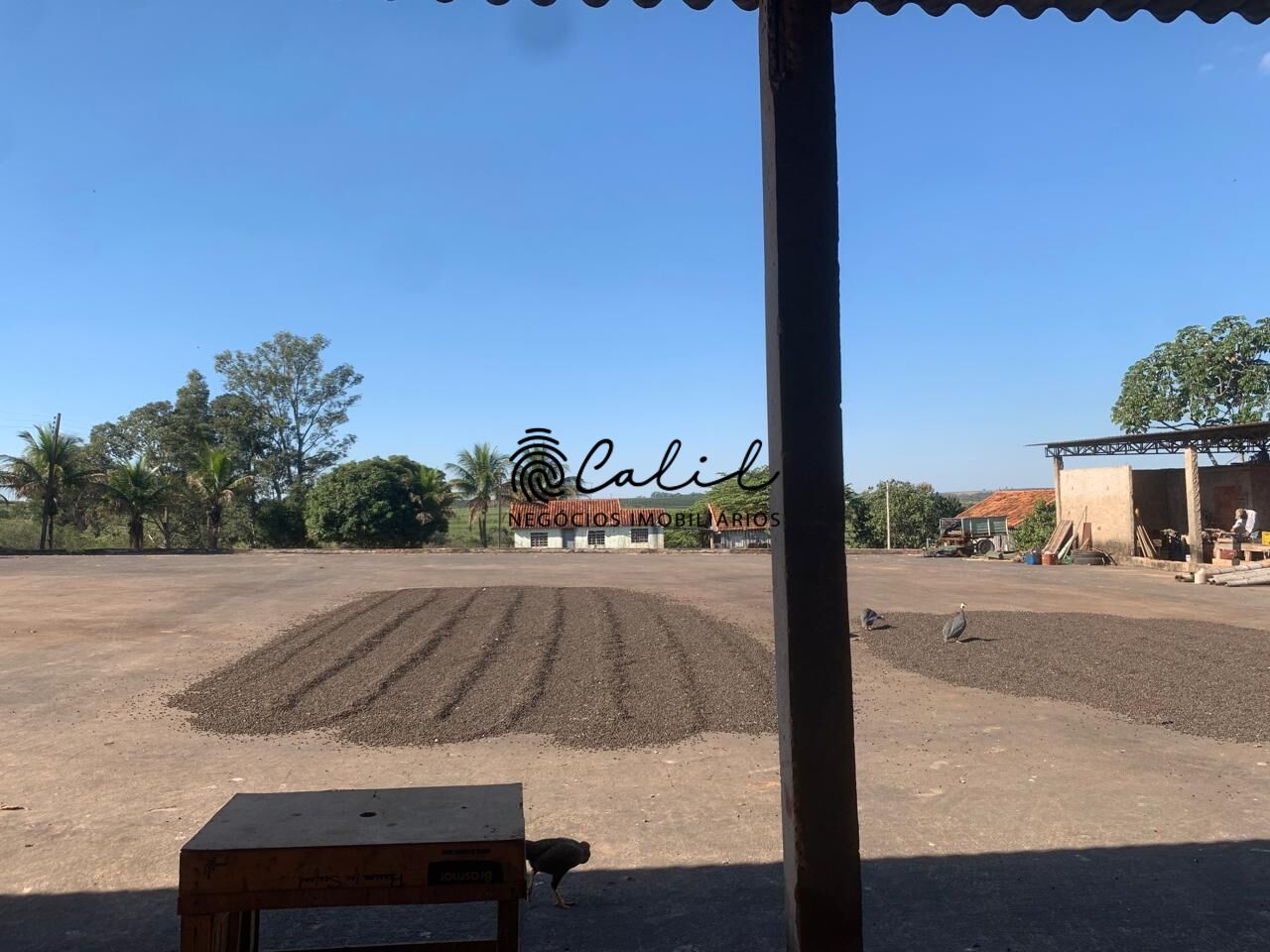 Fazenda, 235 hectares - Foto 4